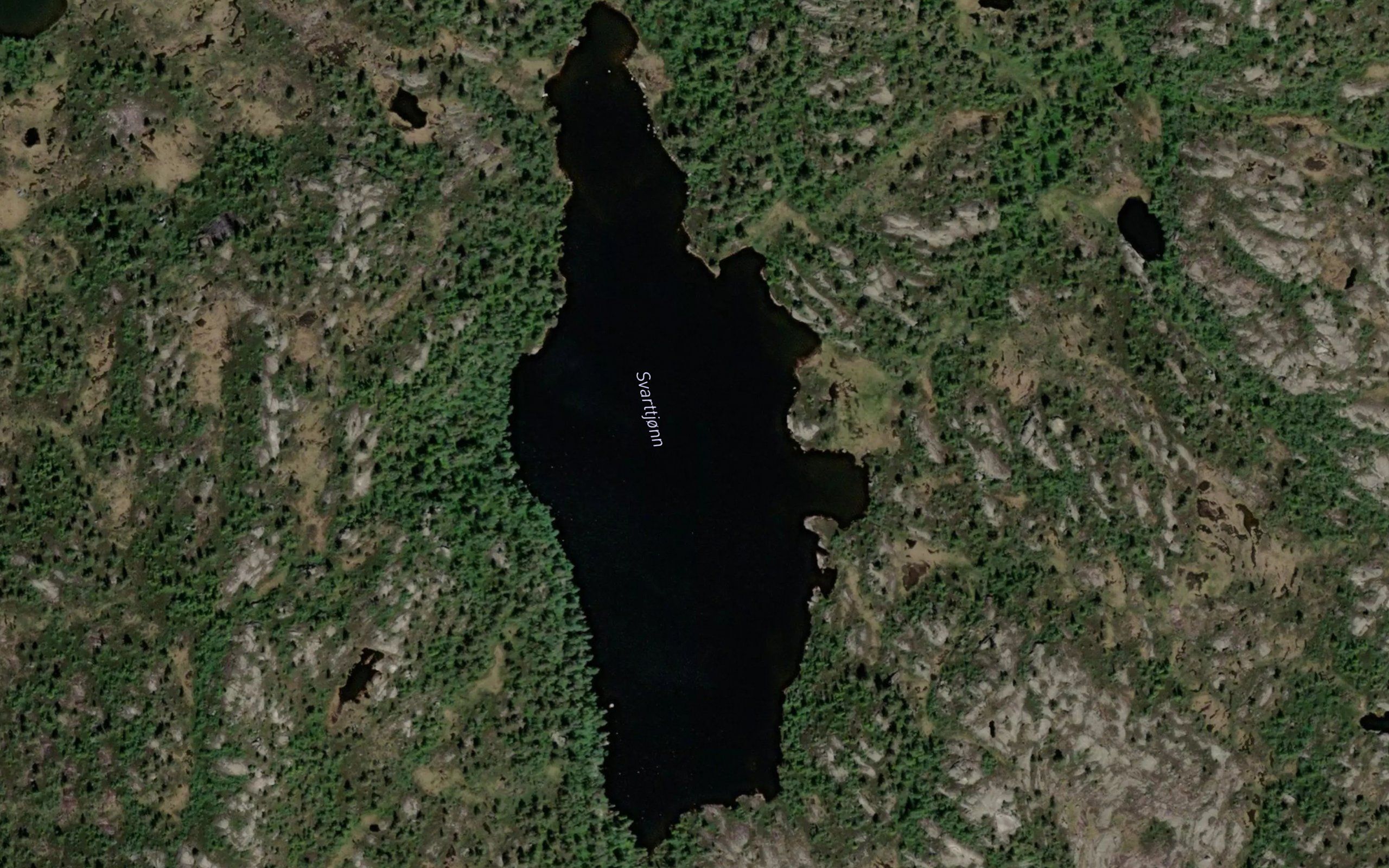 Svartetjorn