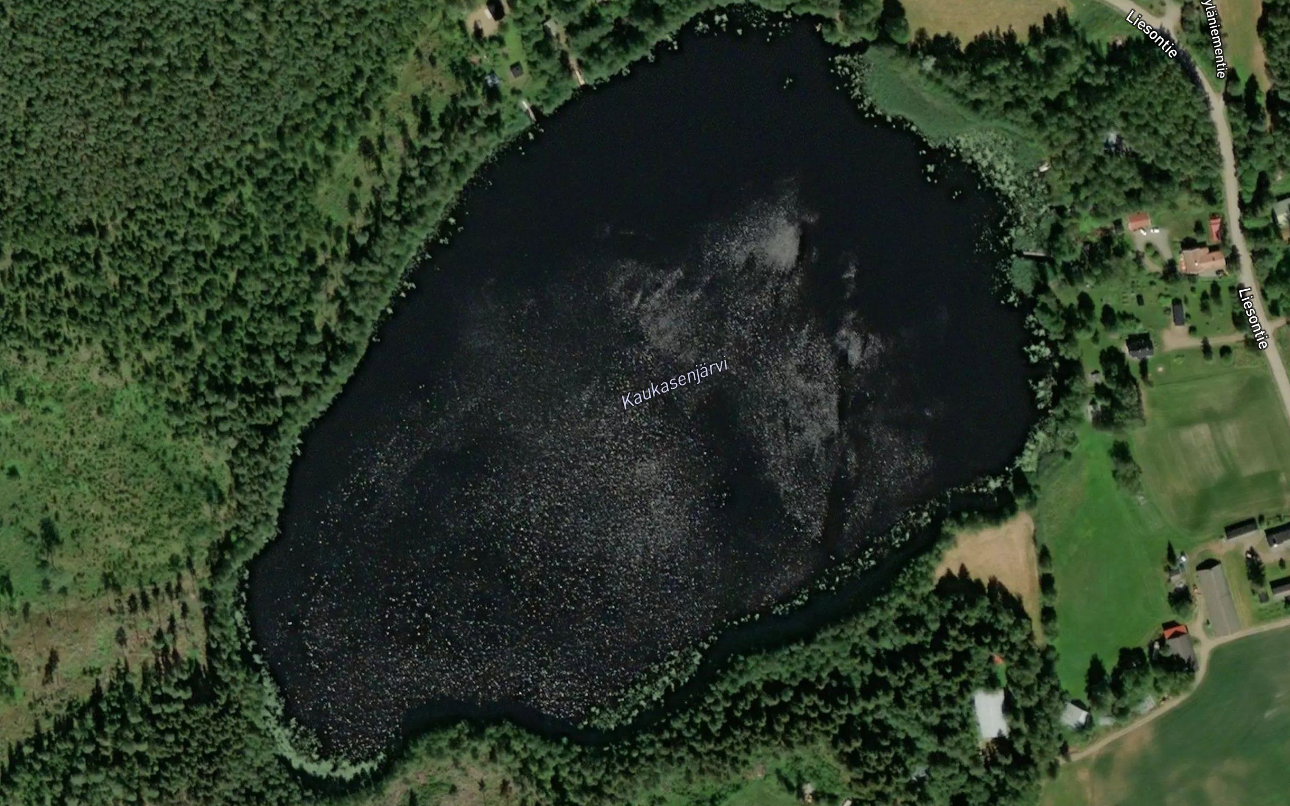 Kaukasenjarvi