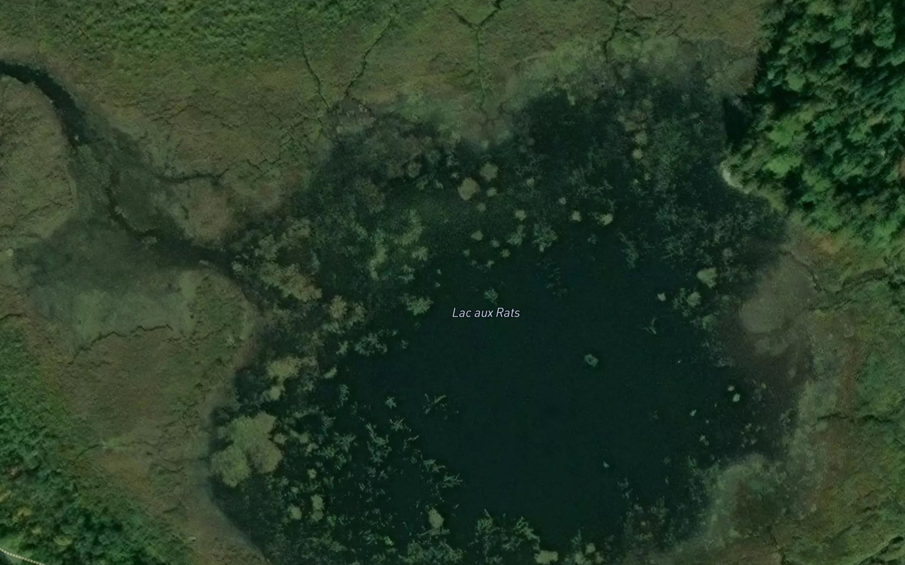 Satellite map of the Lac aux Rats
