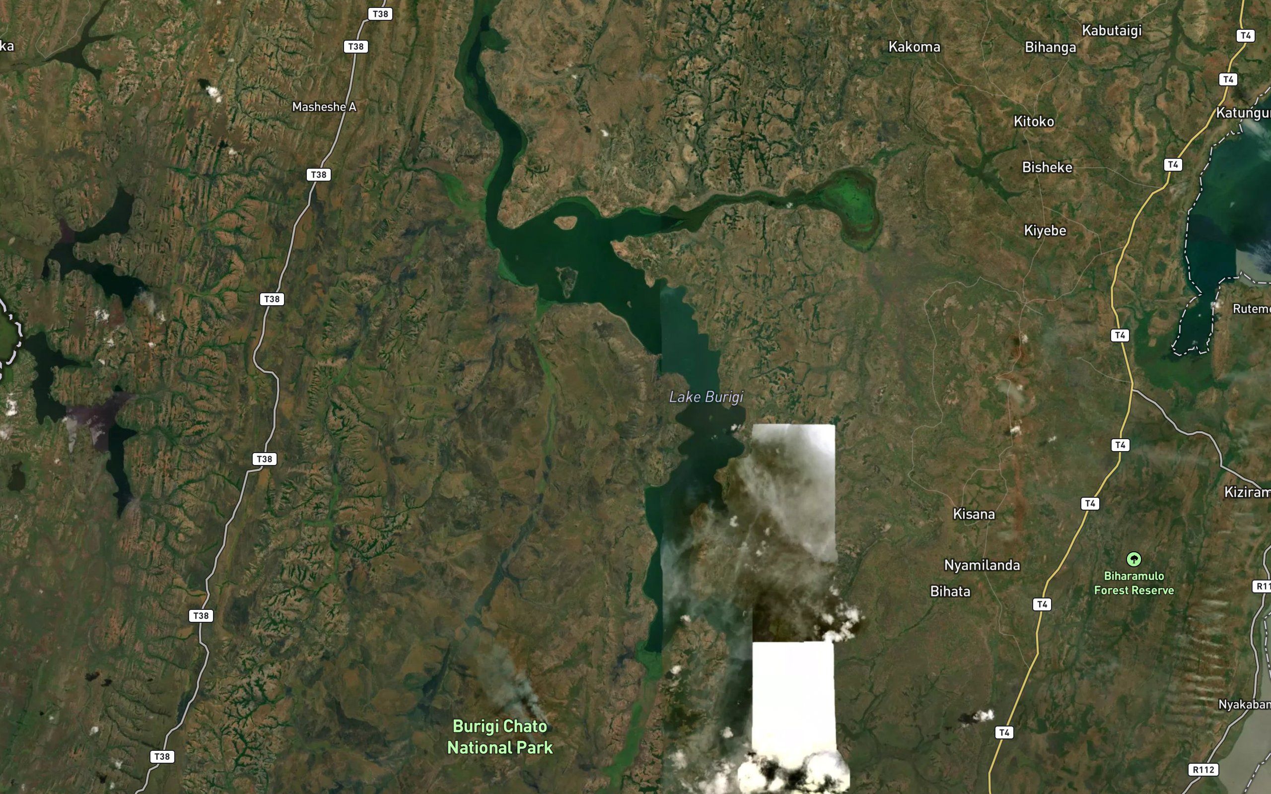 Lake Burigi