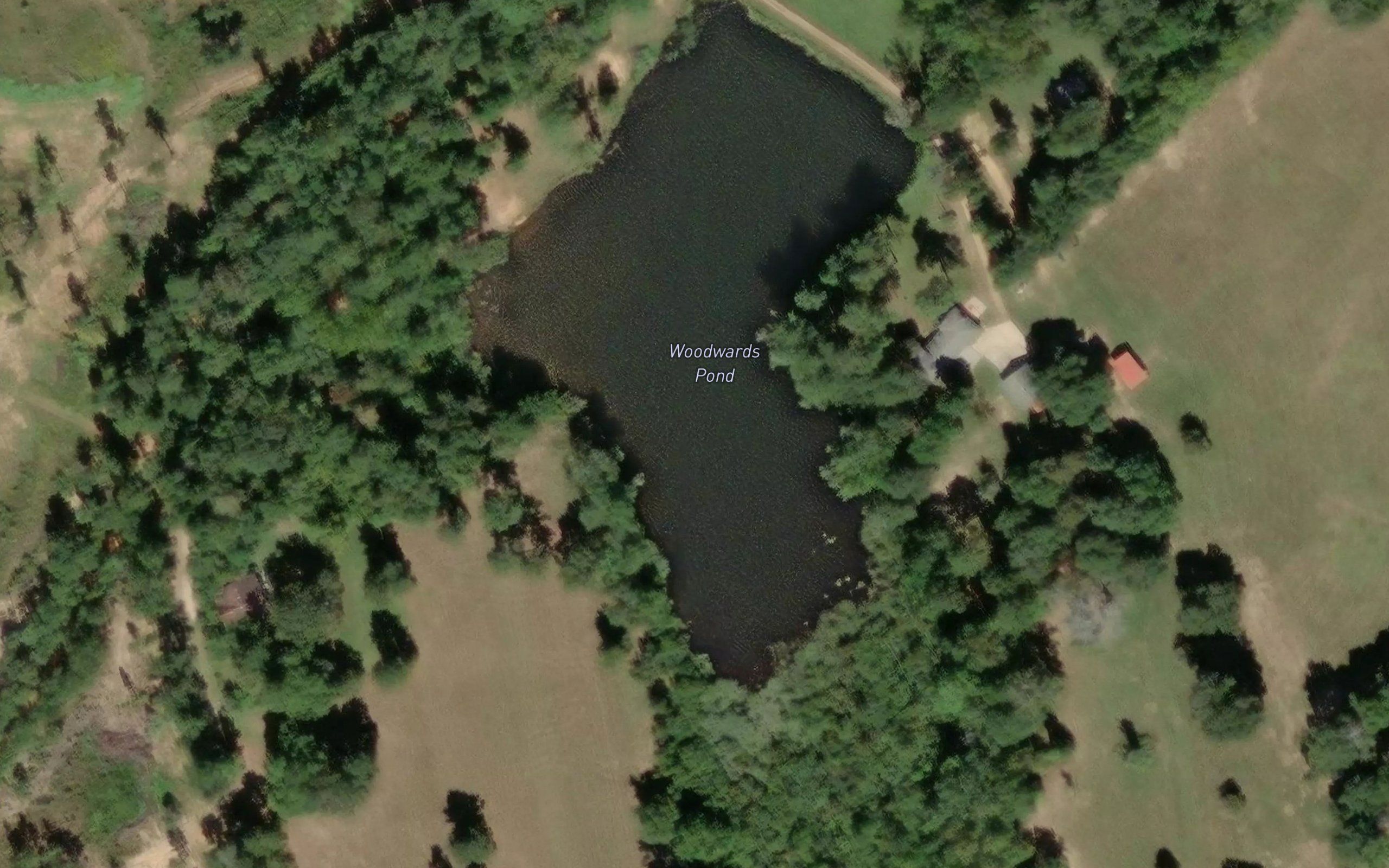 Woodwards Pond