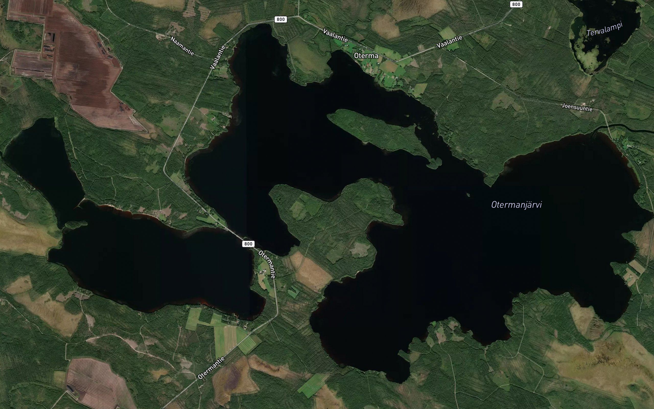 Tervajoki