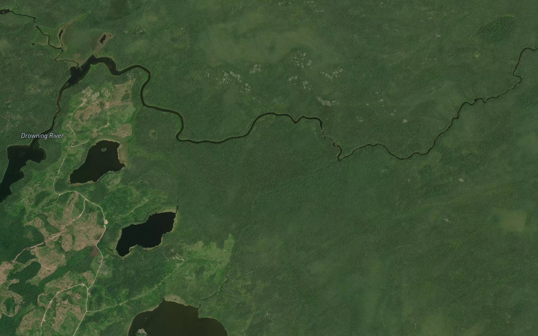 Satellite map of the Stampede Creek