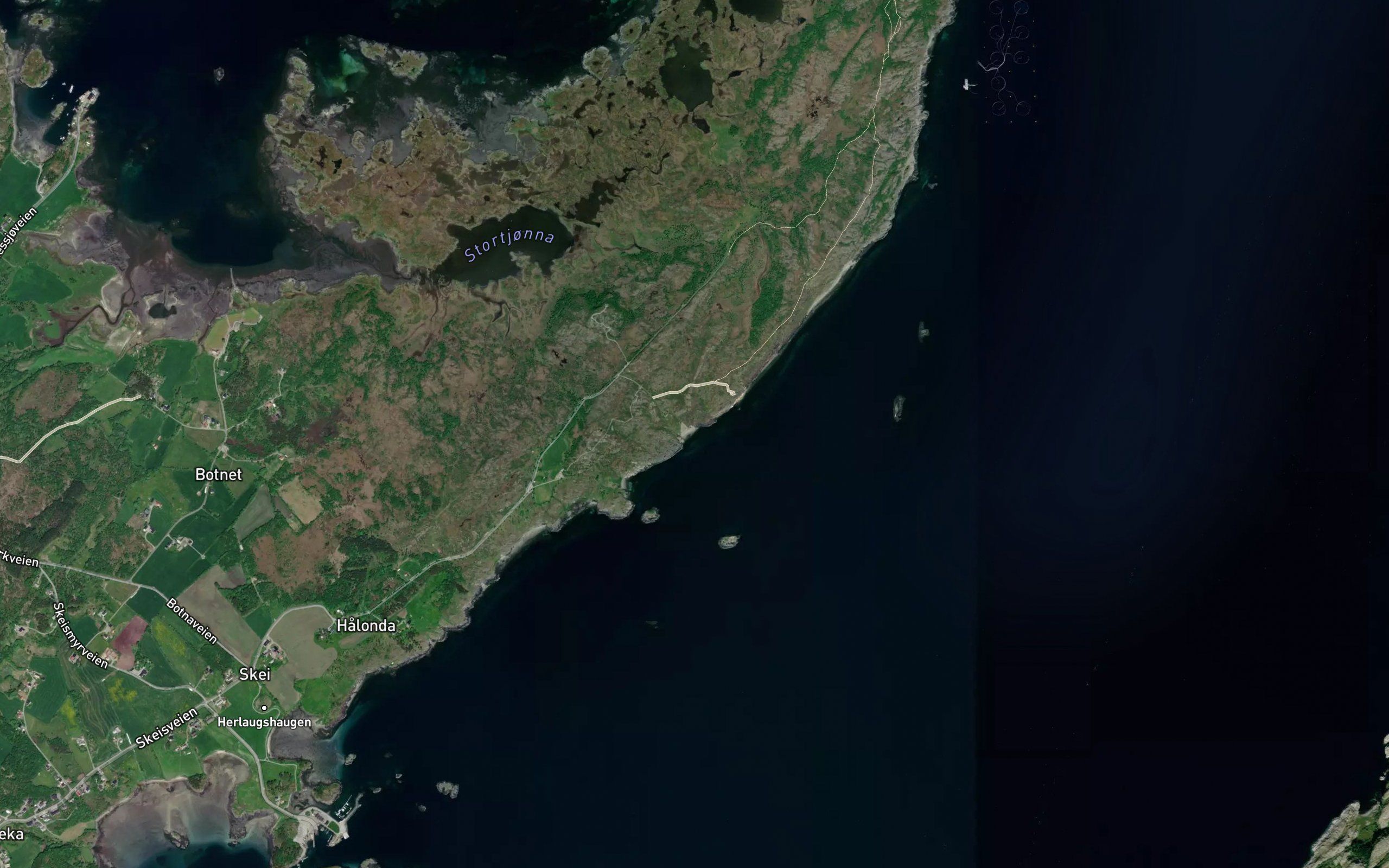 Vardvika