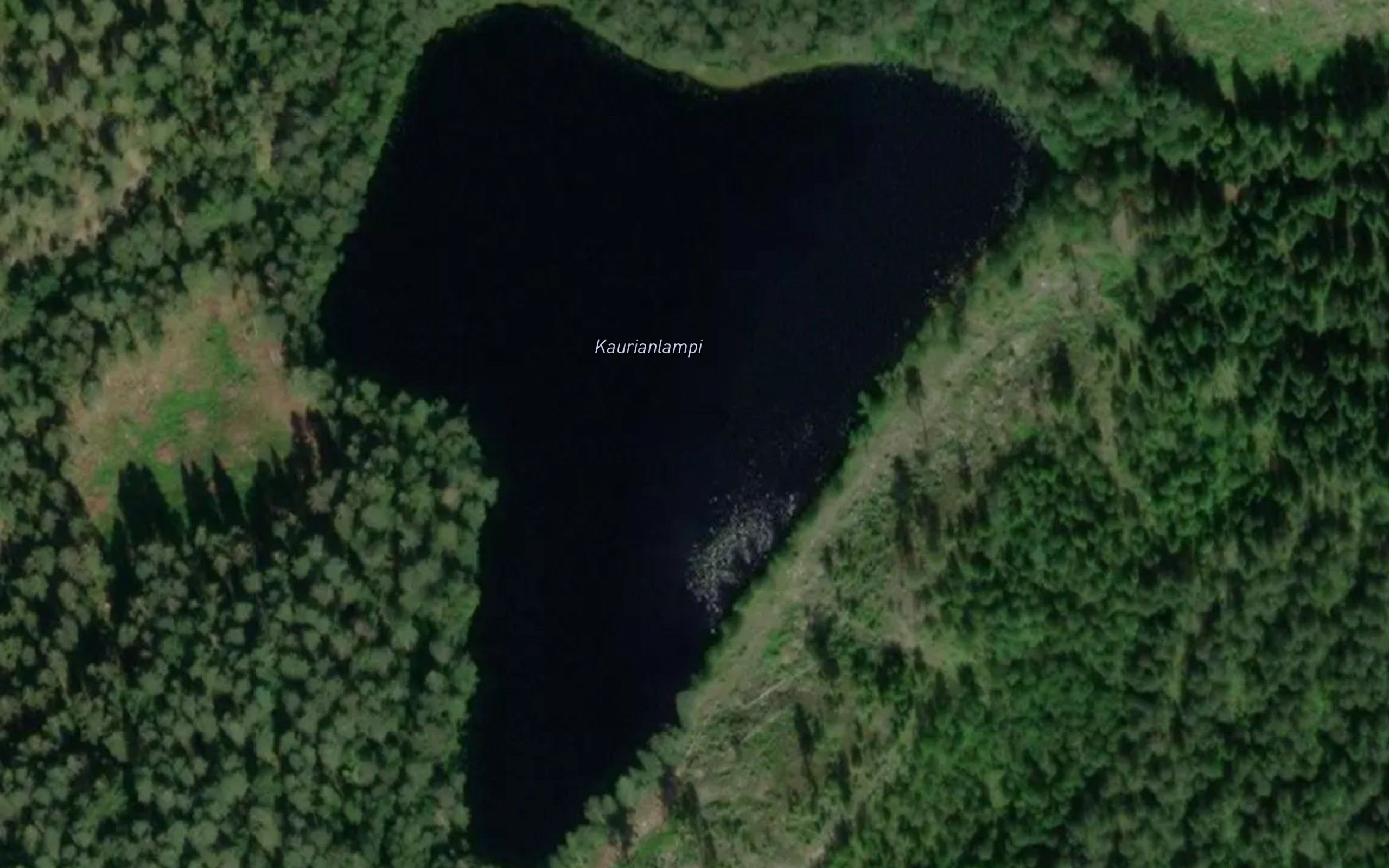 Kaurianlampi