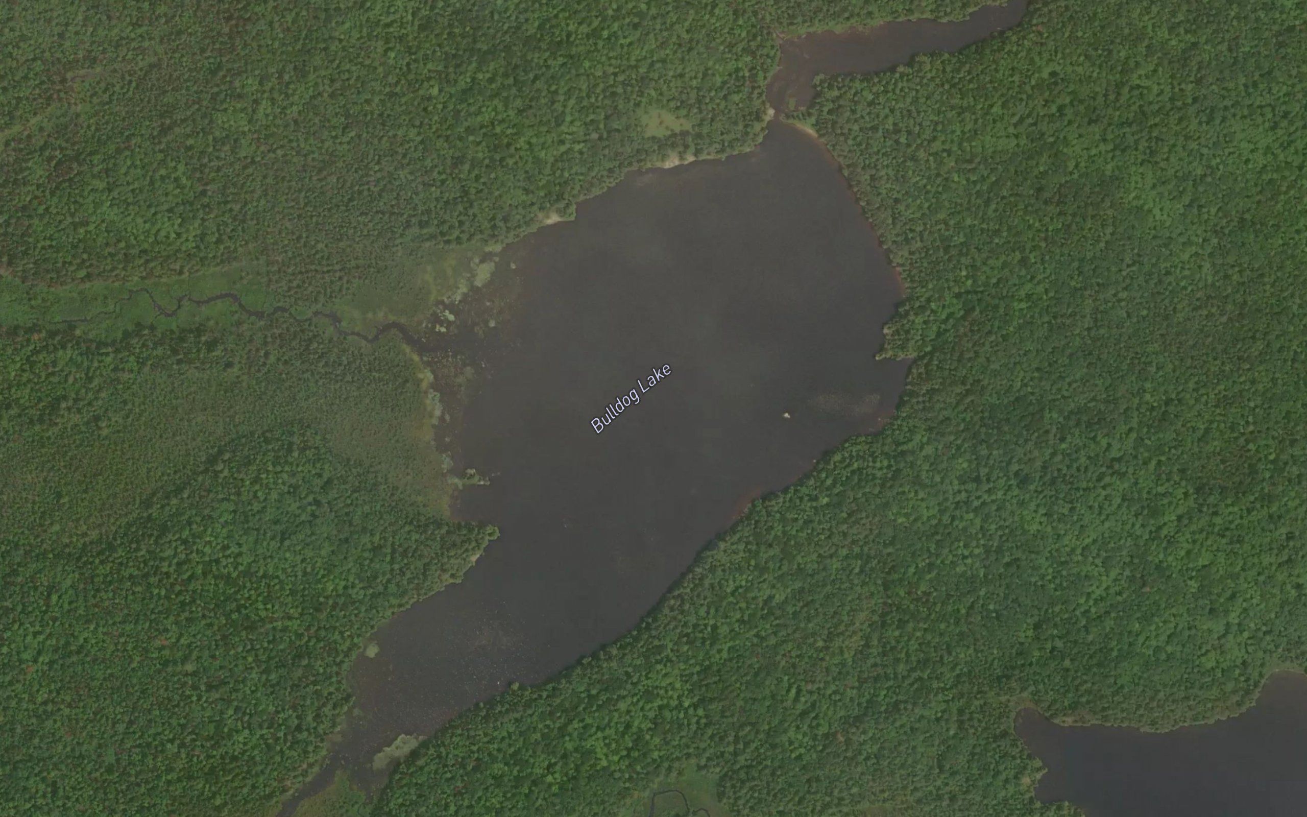 Bulldog Lake