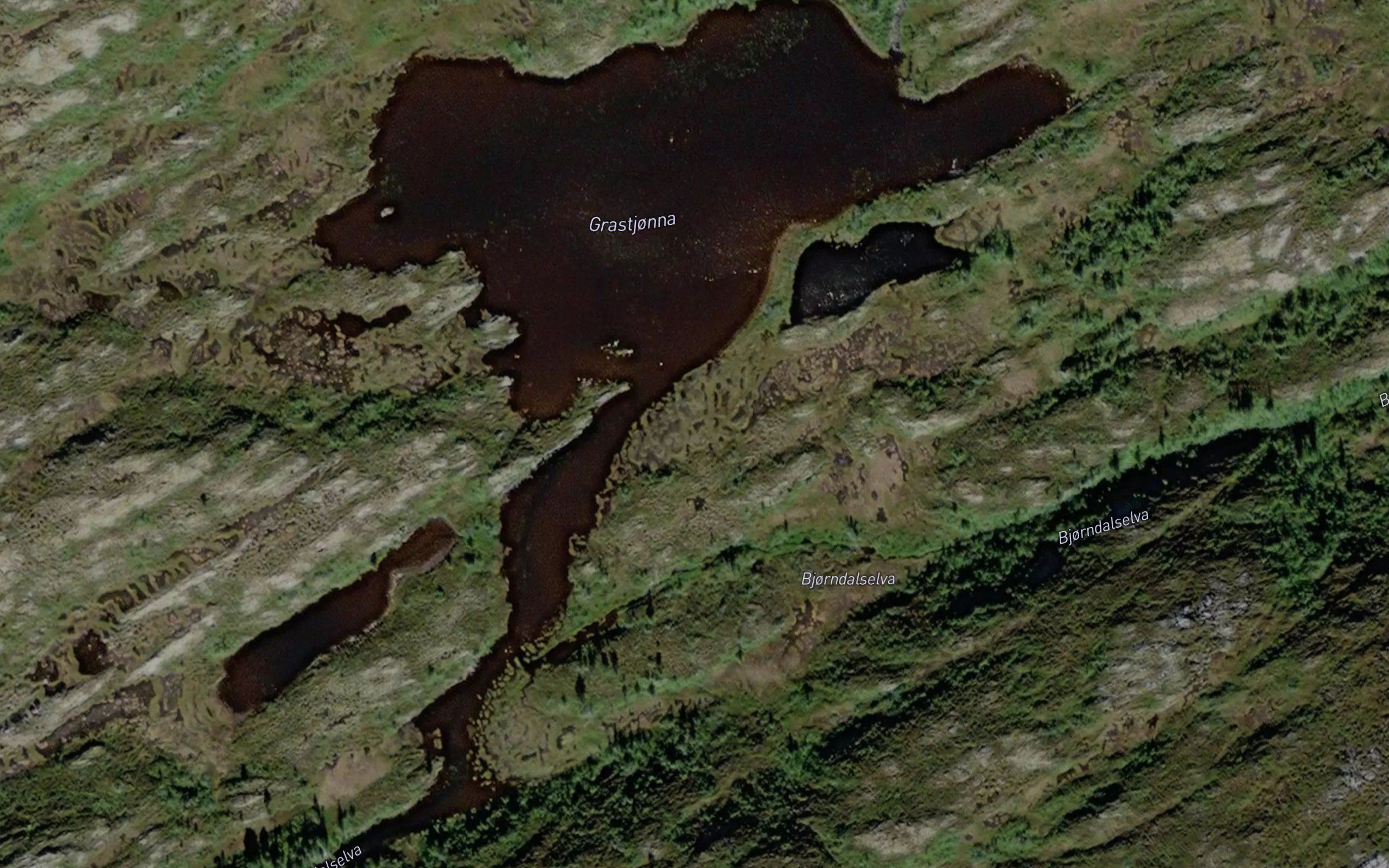 Grastjorna
