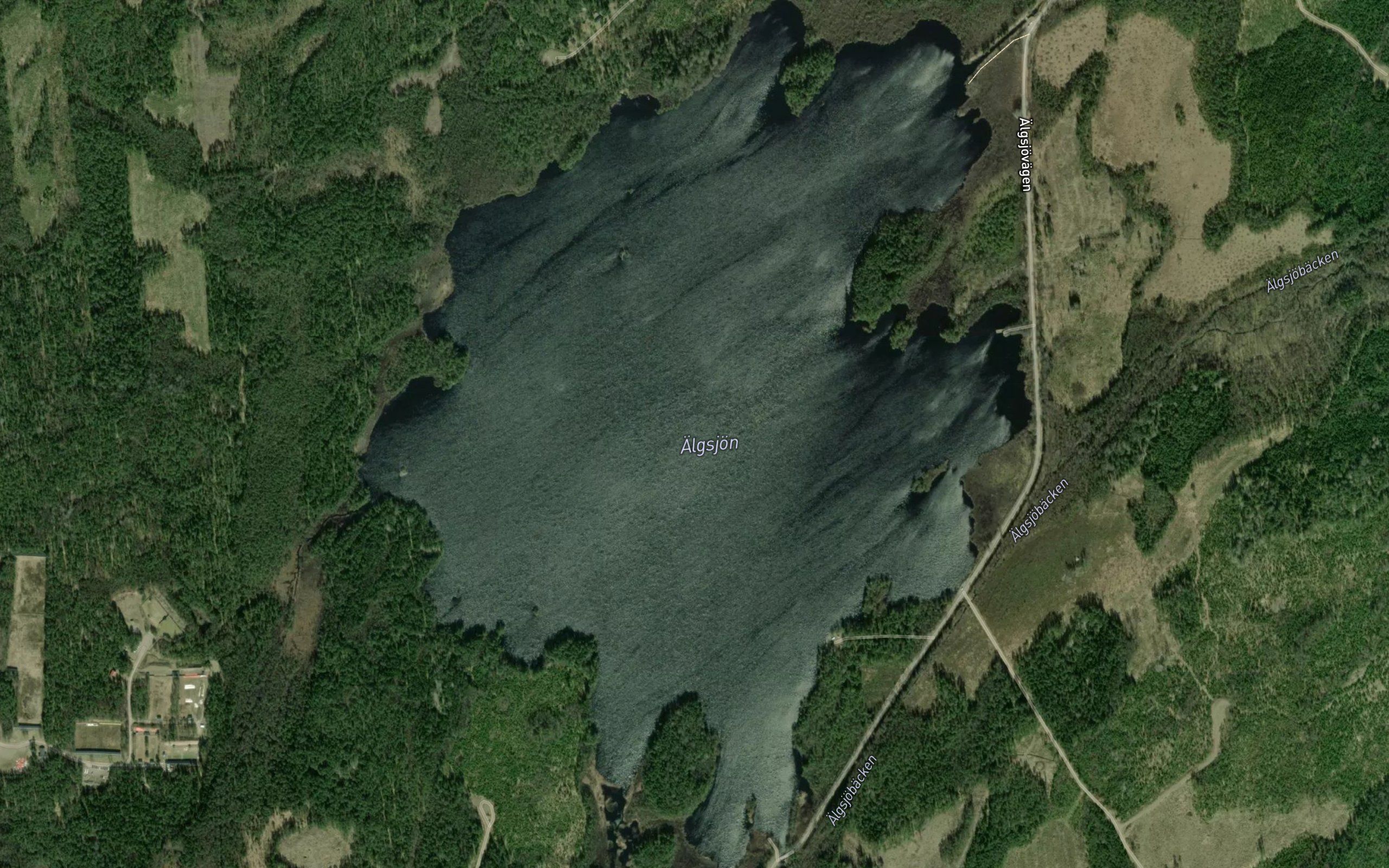 AElgsjoen