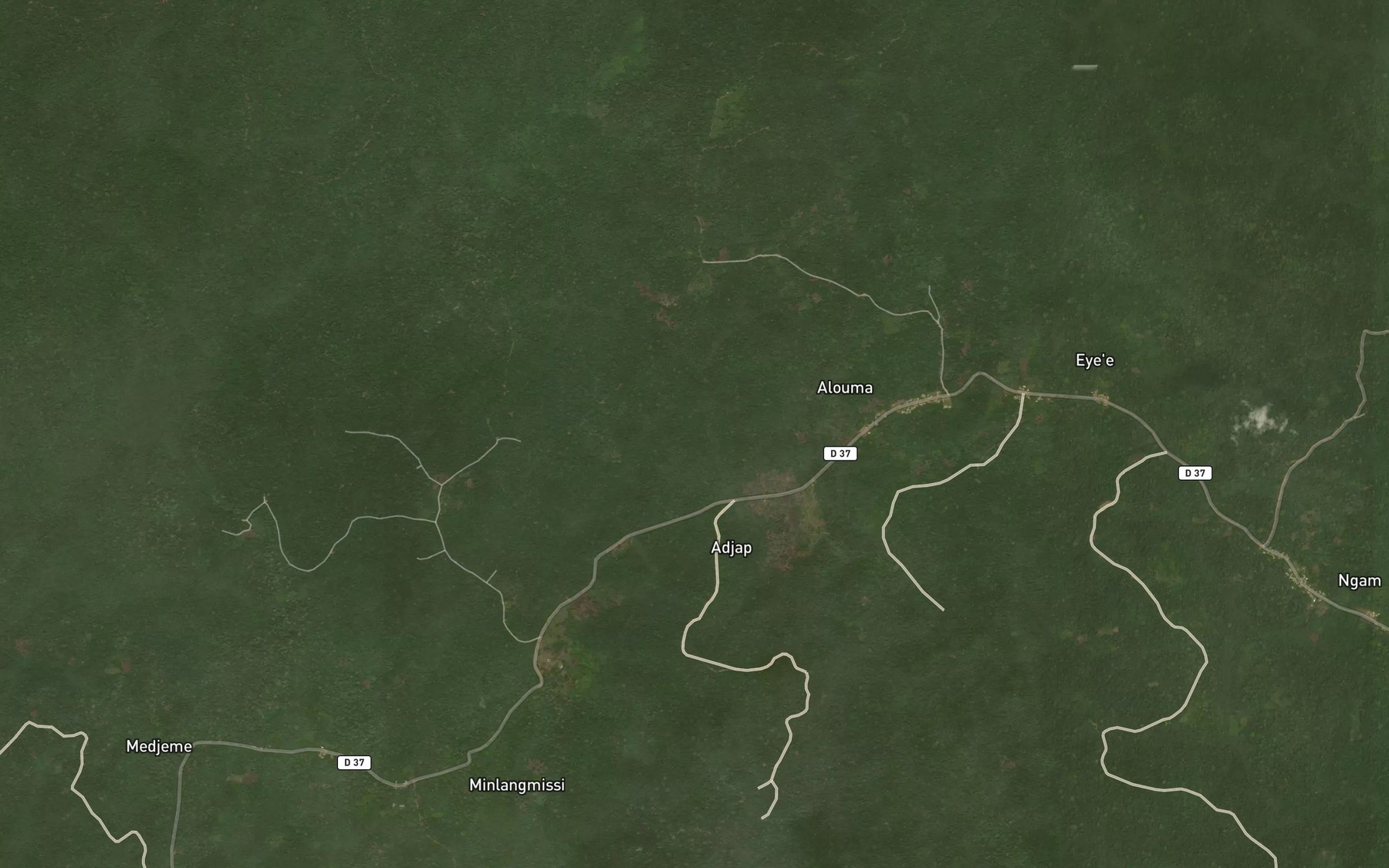 Satellite map of the Bissone