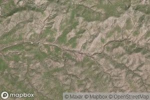 Canada Palo Blancosa