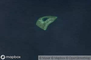 Learmonth Reef