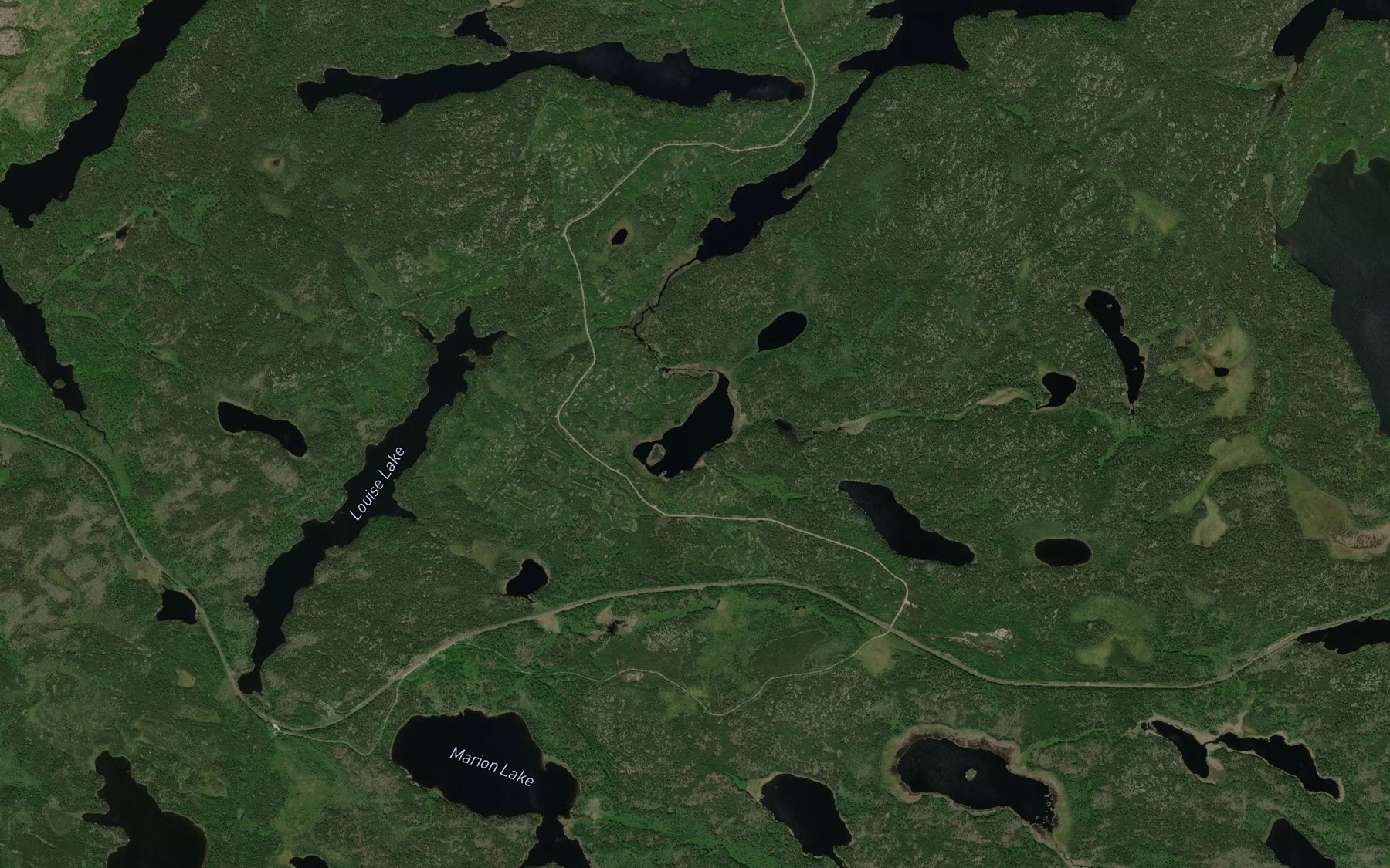 Satellite map of the McDott Lake
