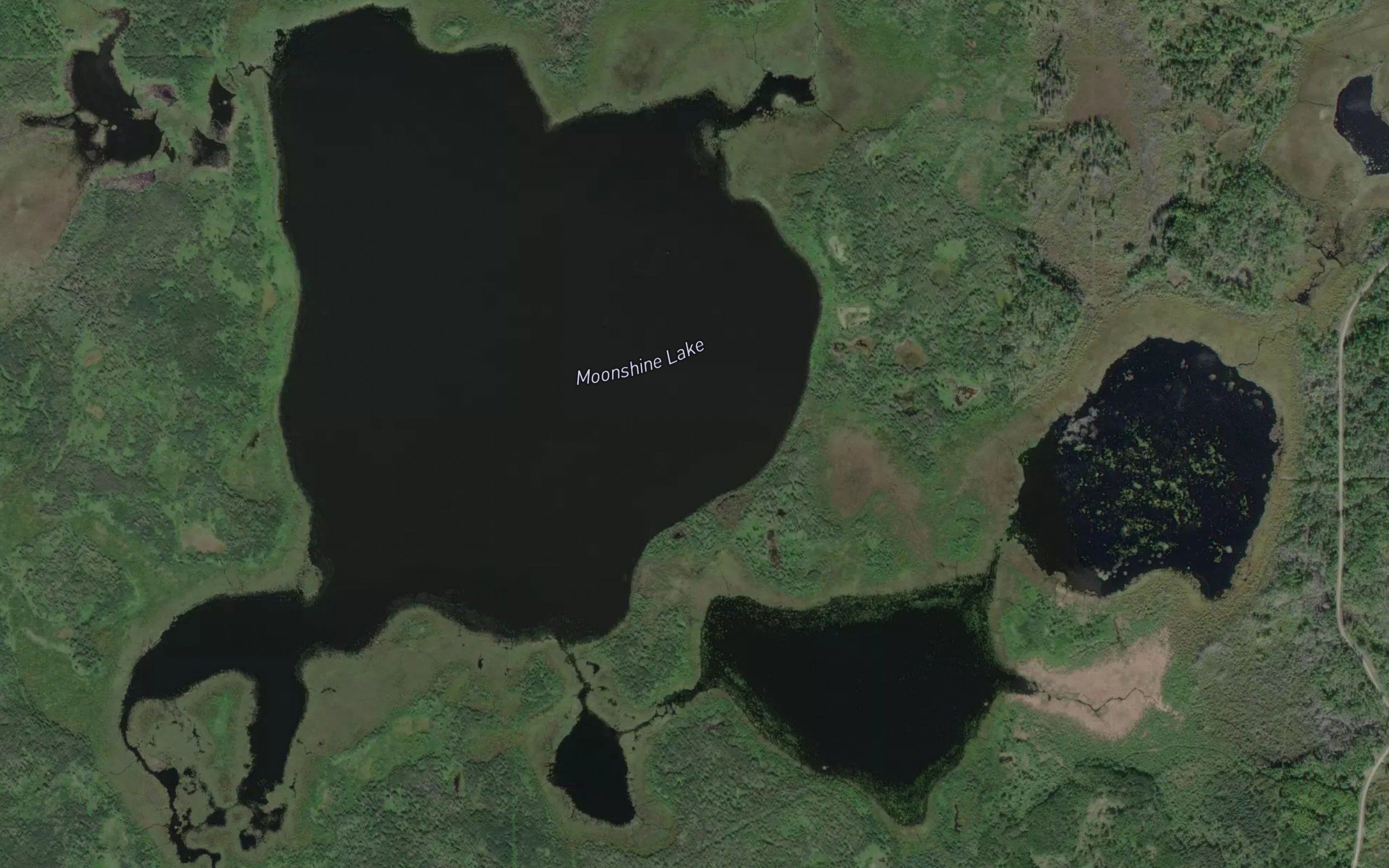 Moonshine Lake