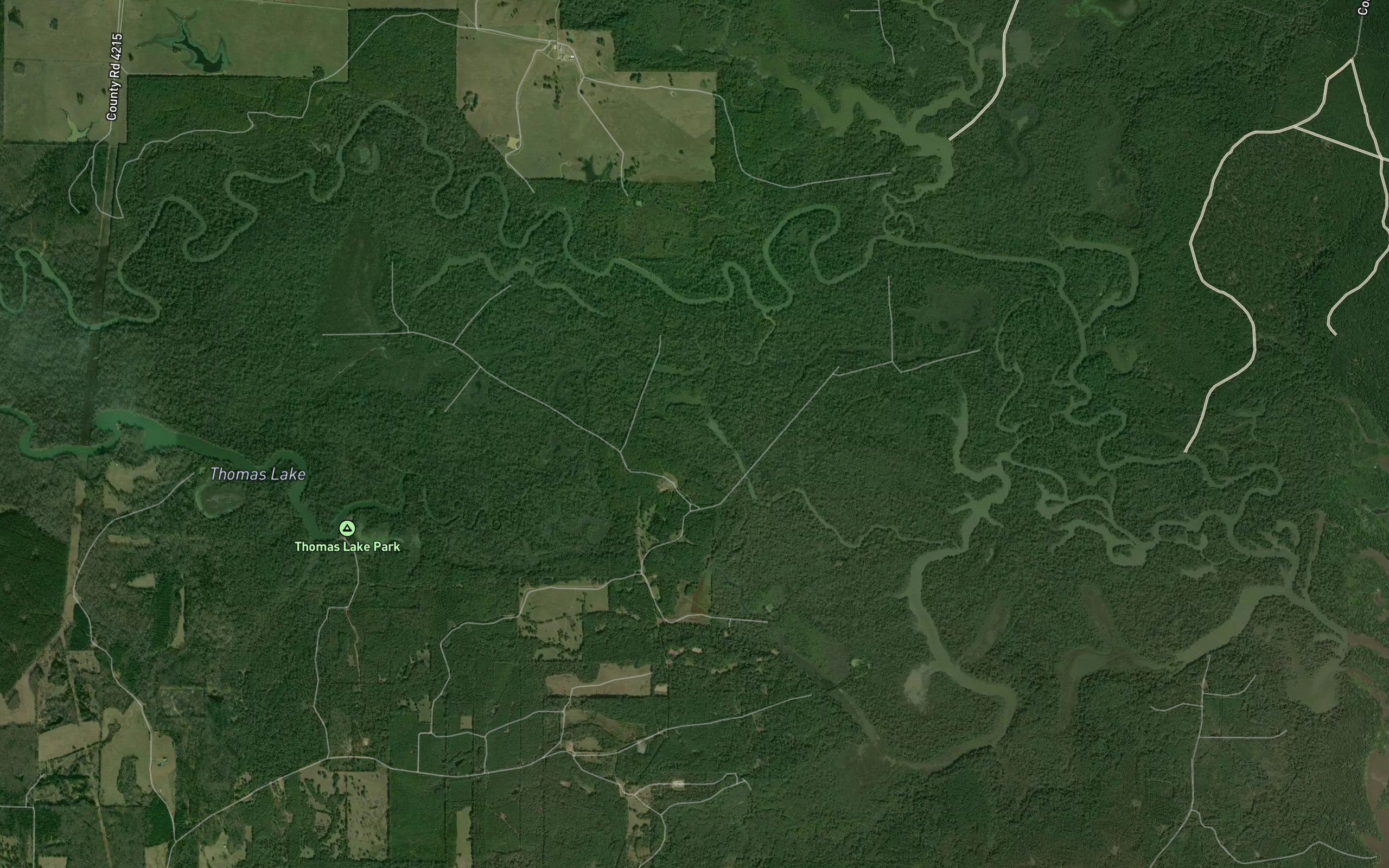 Thomas Creek
