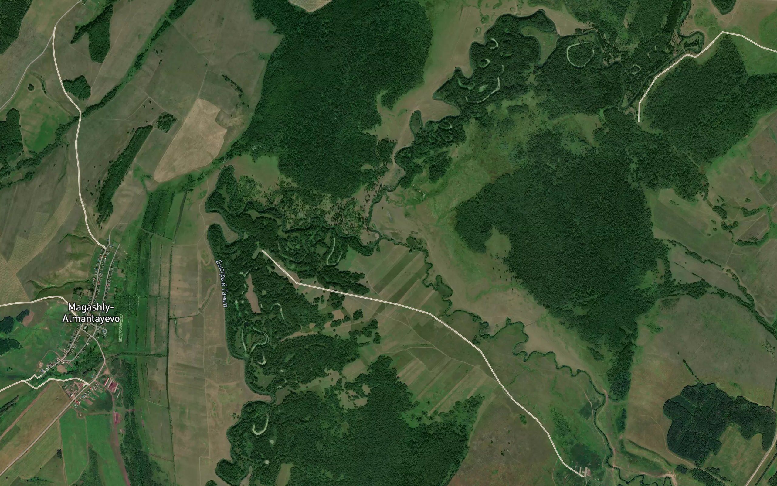 Toshkurka