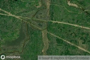 Elm Creek