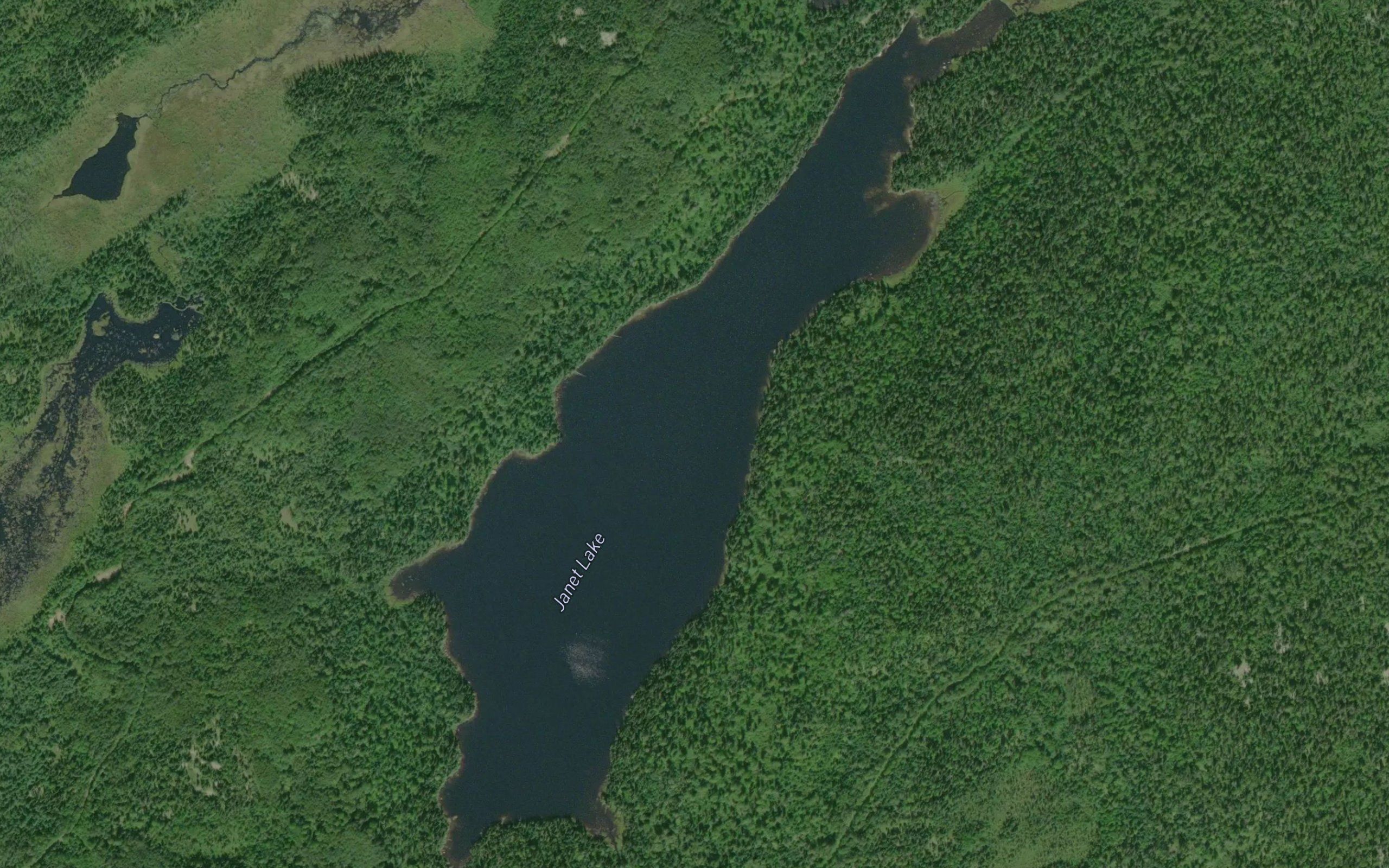 Janet Lake