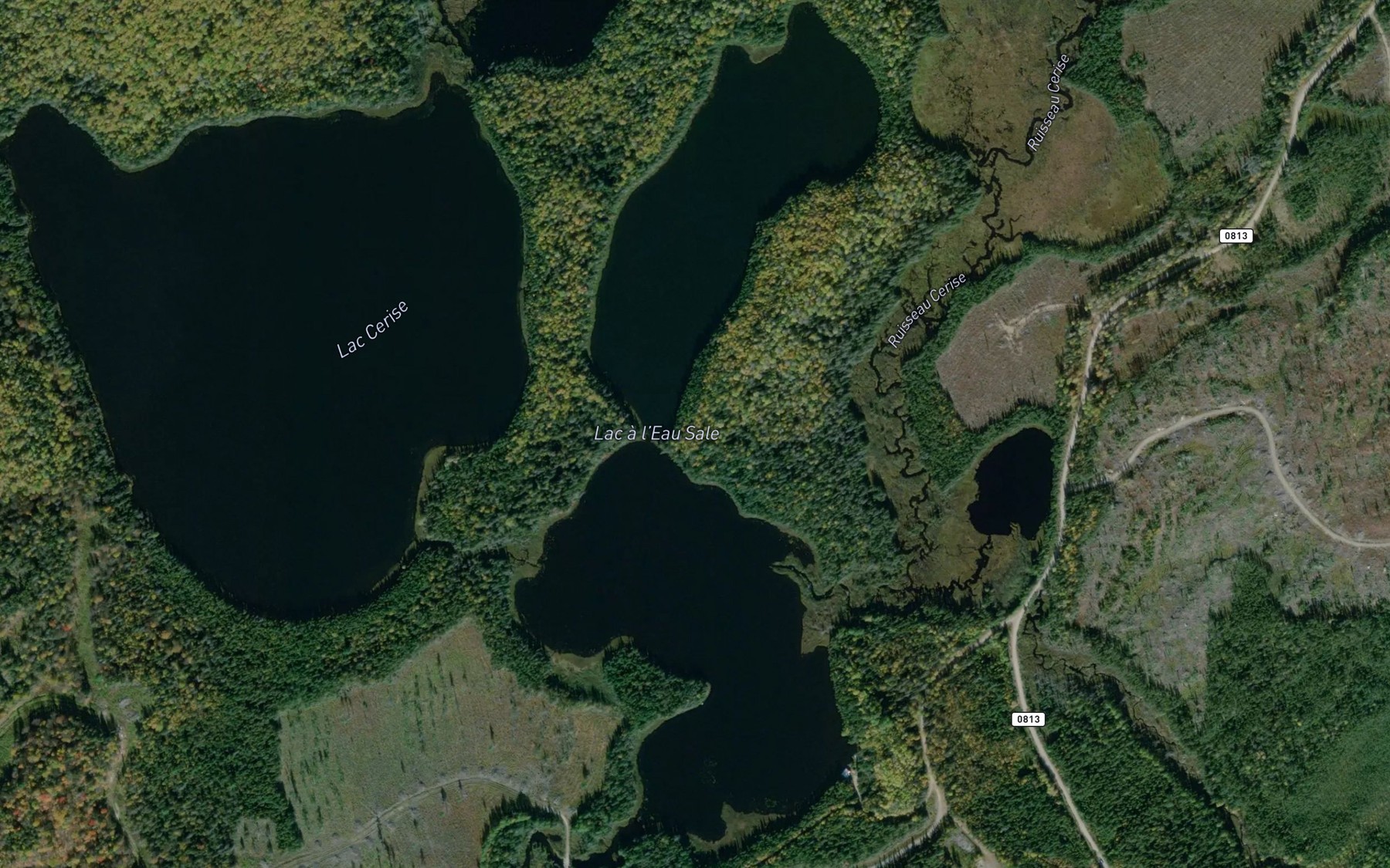 Satellite map of the Lac a l'Eau Sale