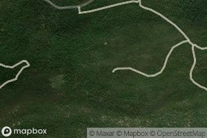 Brown Bear Spring