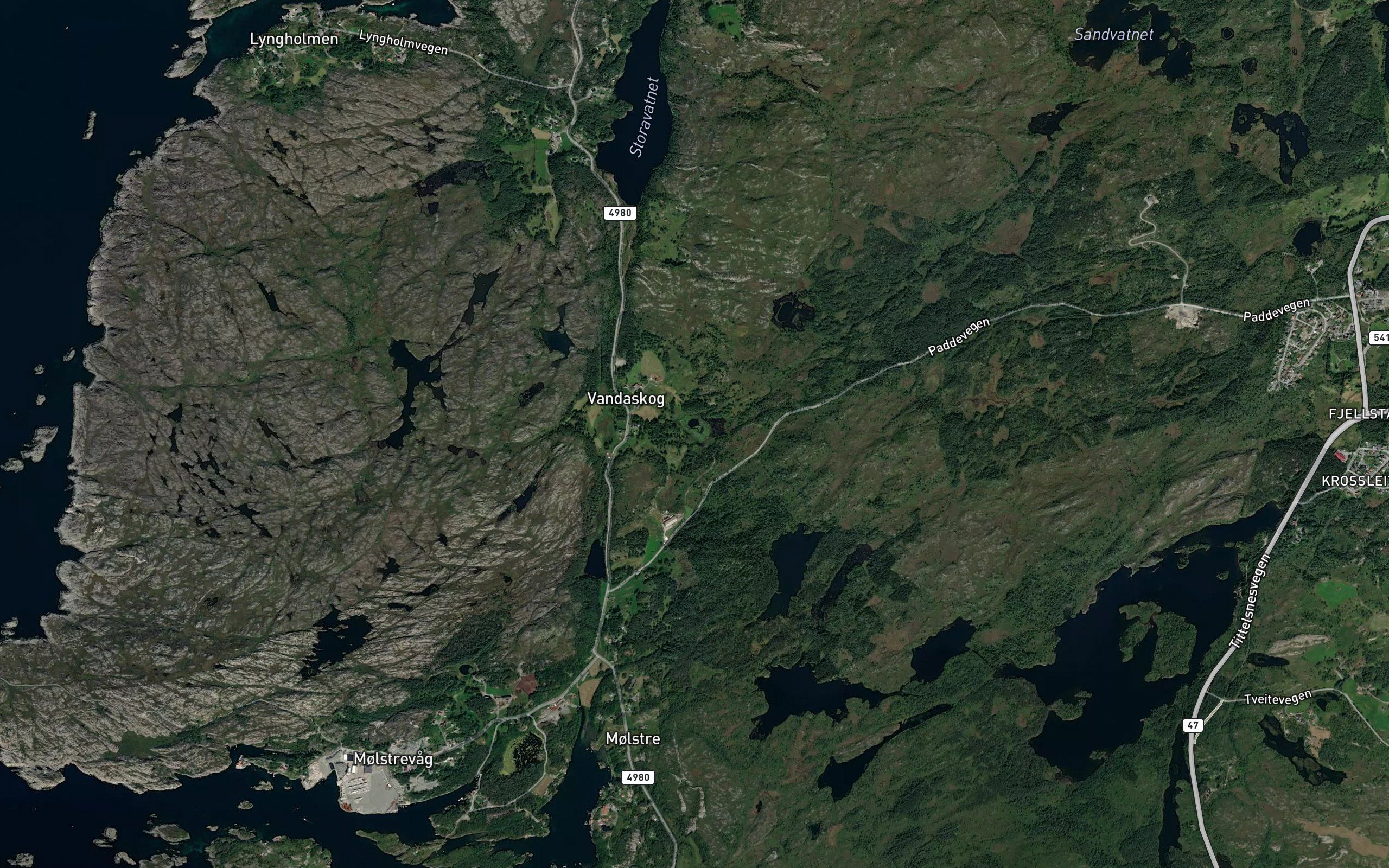 Vandaskogtjorna