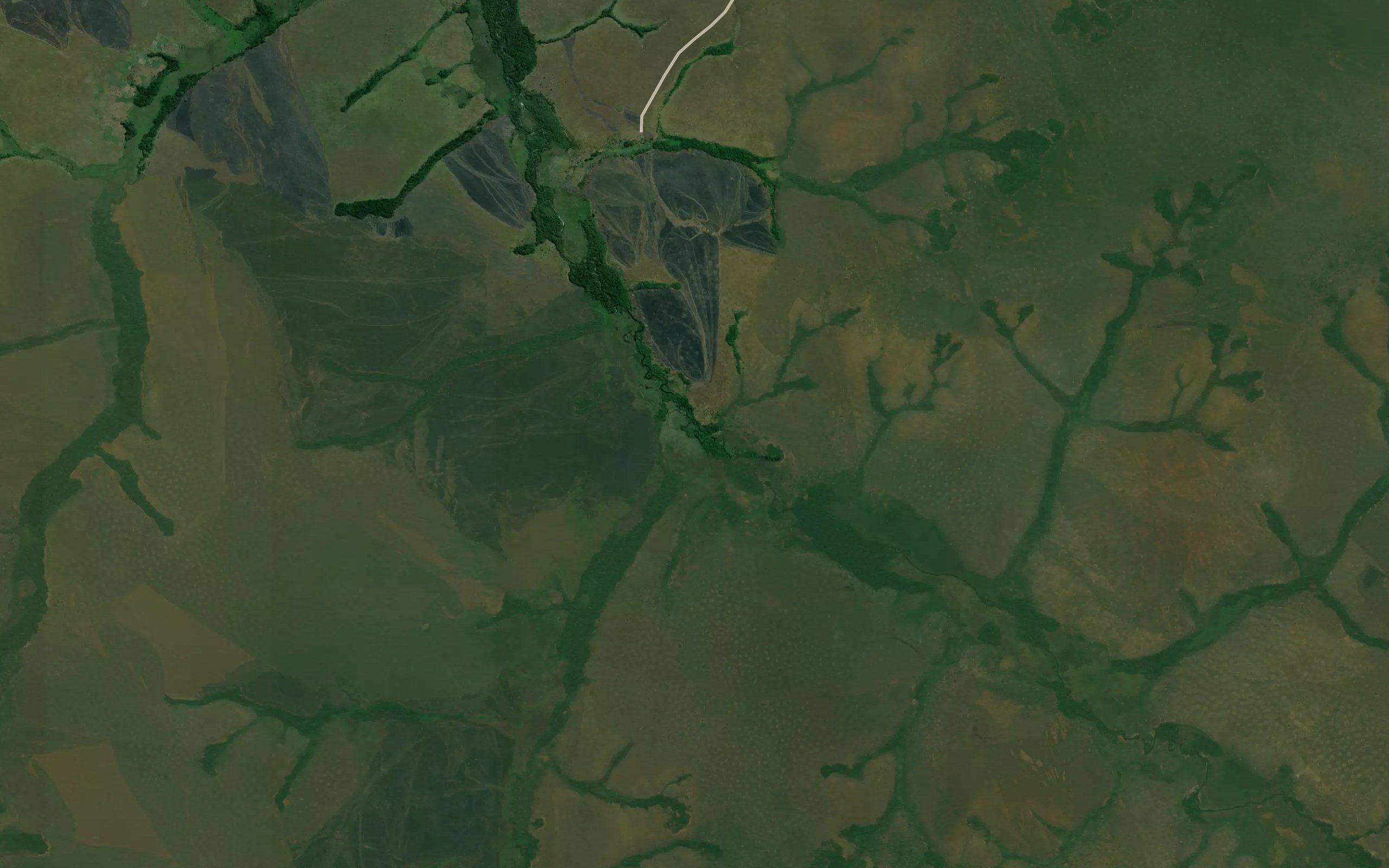 Mujibui