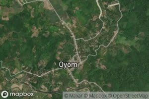 Botaonyo Ogomolobu