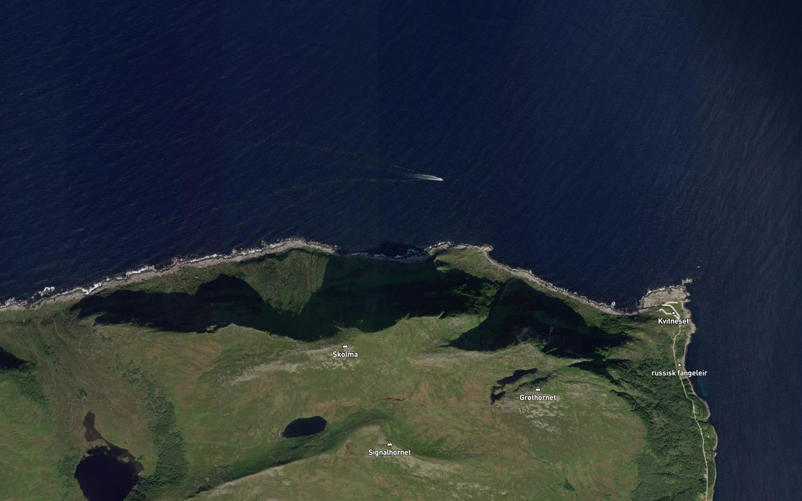 Attavika
