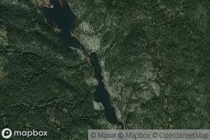 Lac du Chacal d'Amerique