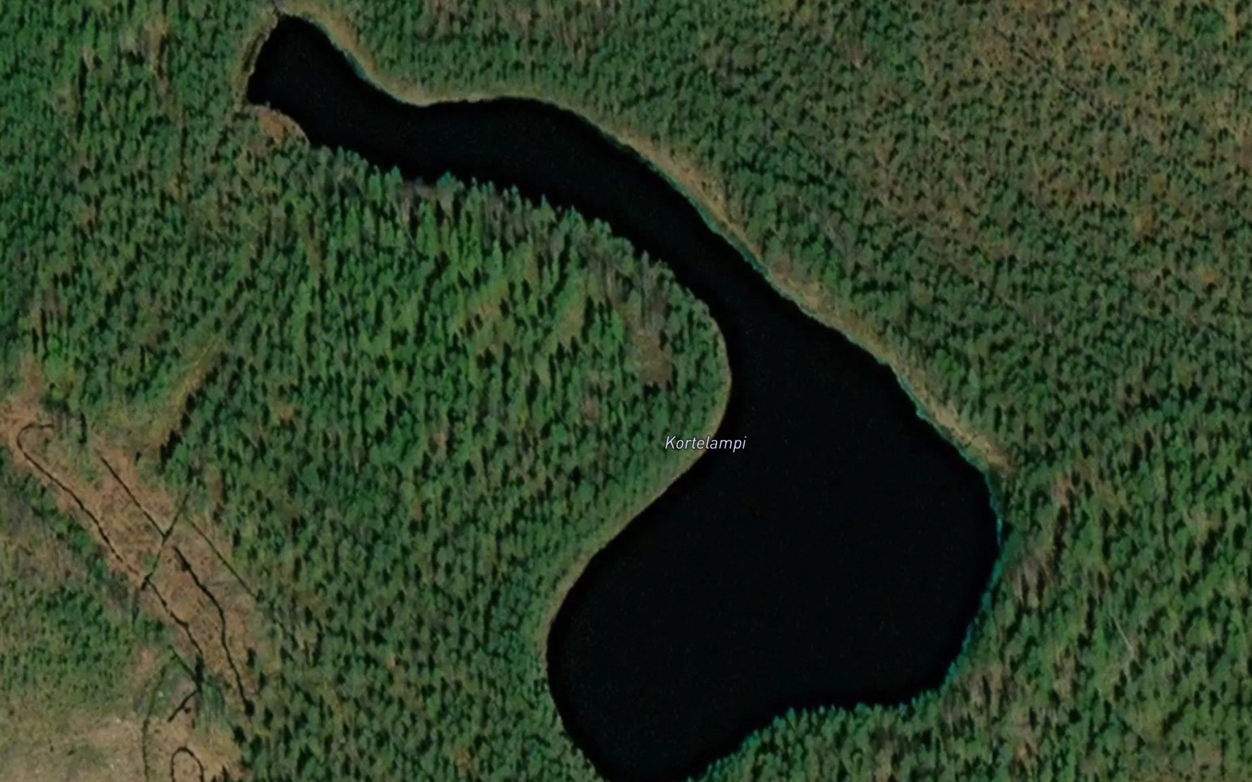 Kortelampi
