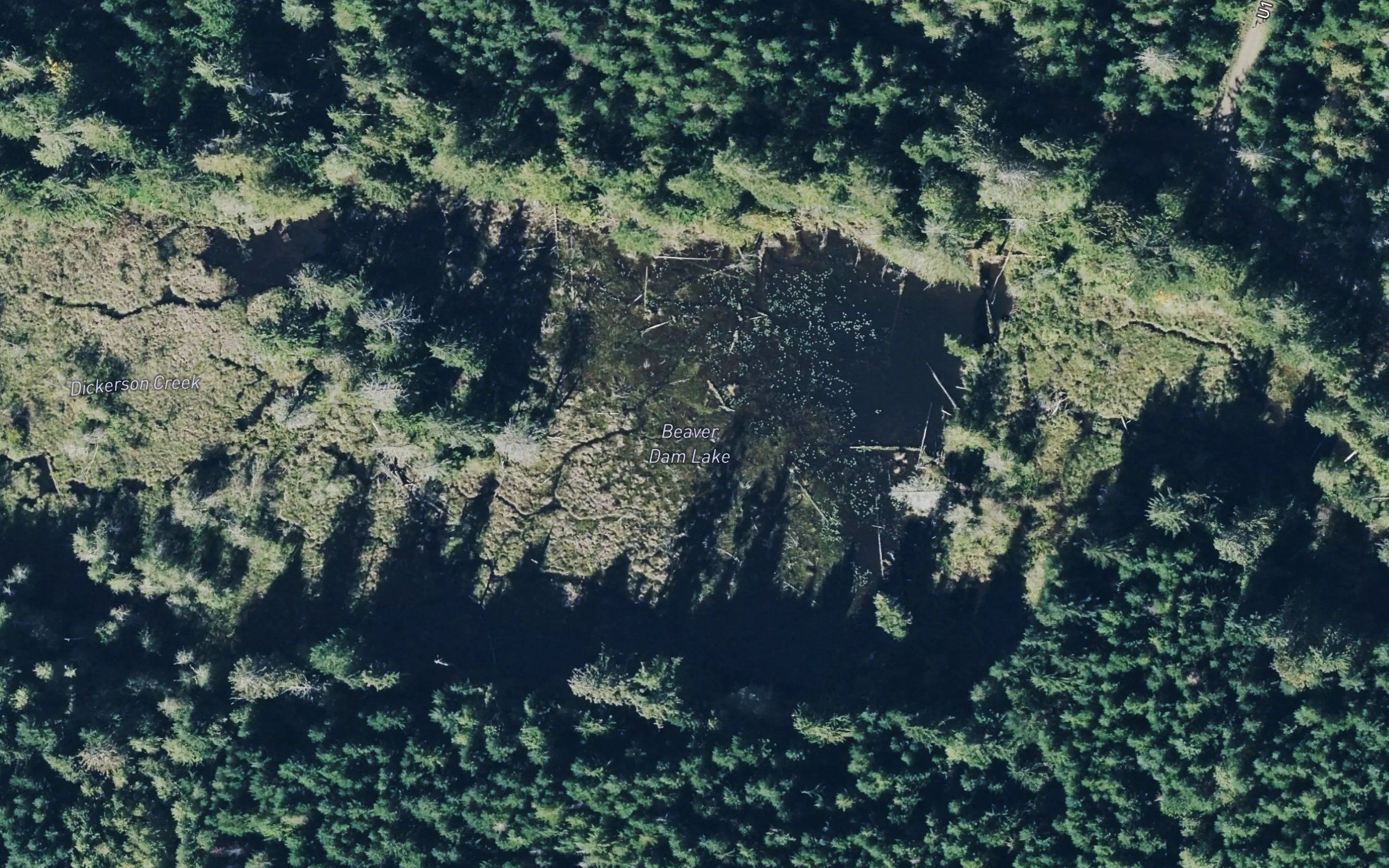 Beaver Dam Lake