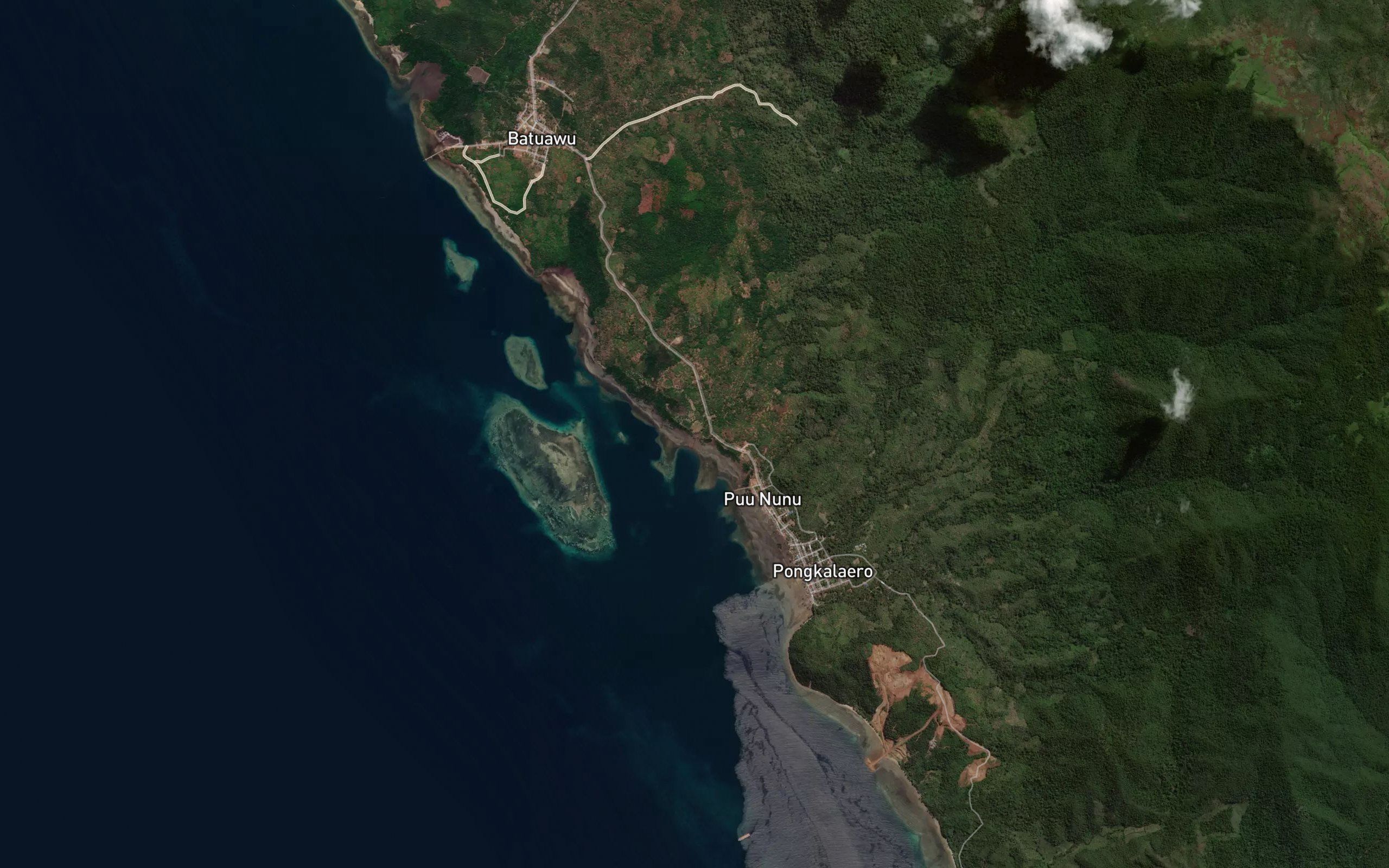 Ee Puununu