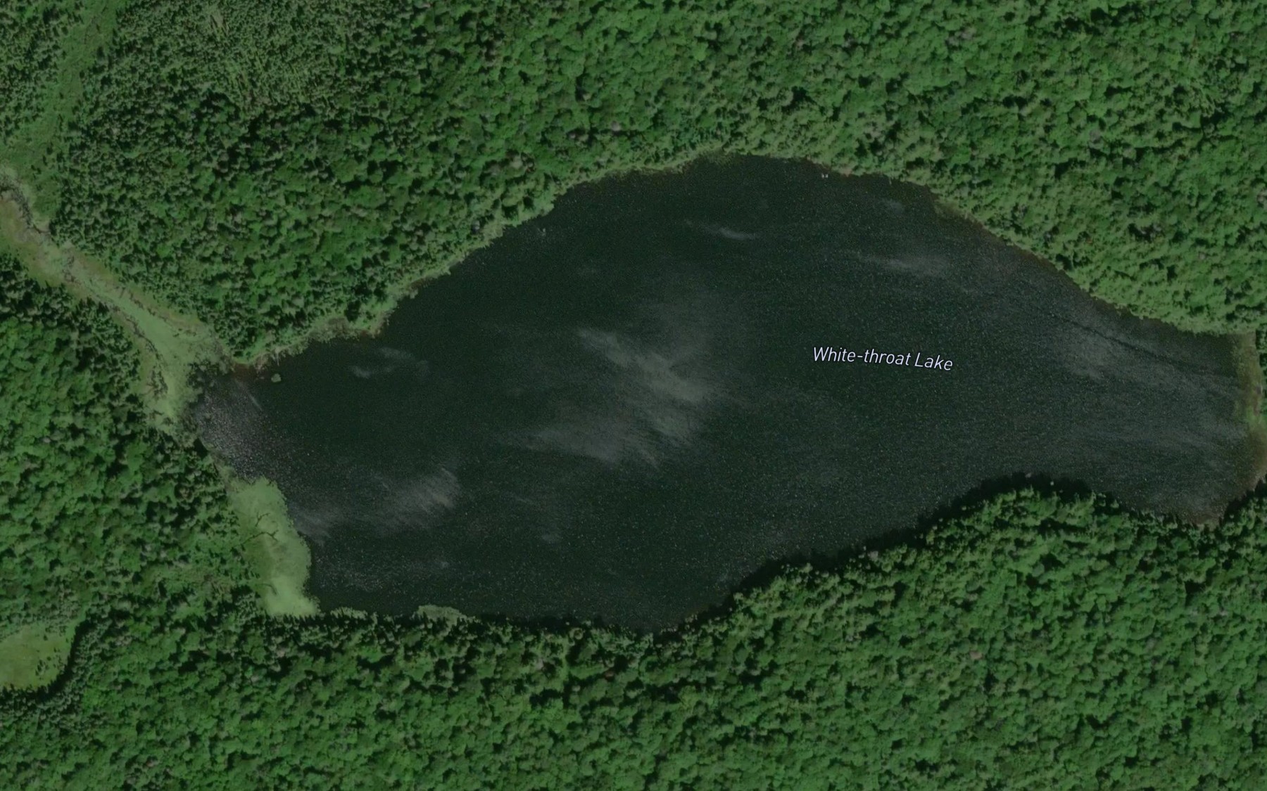 Satellite map of the White-throat Lake