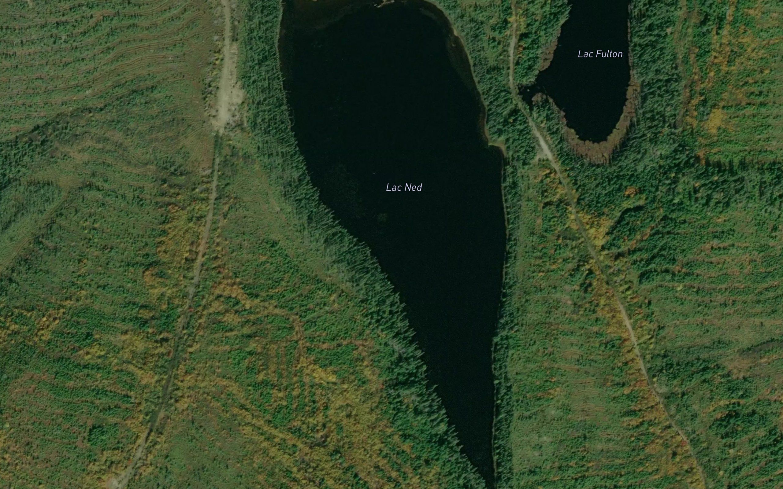 Lac Ned