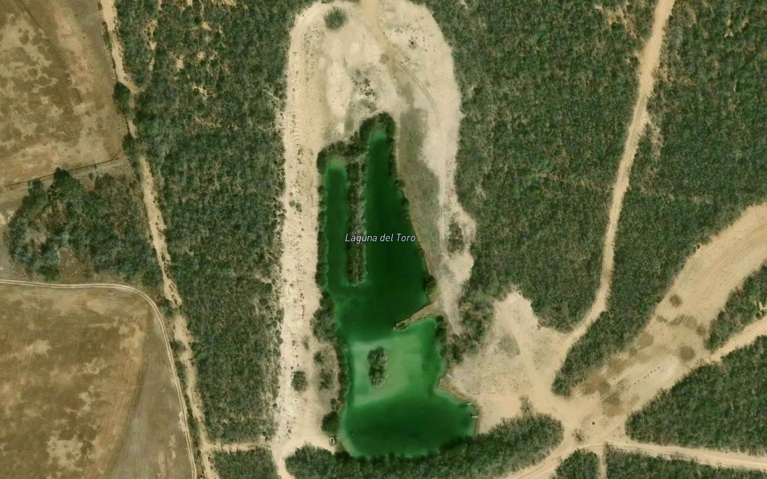 Laguna del Toro