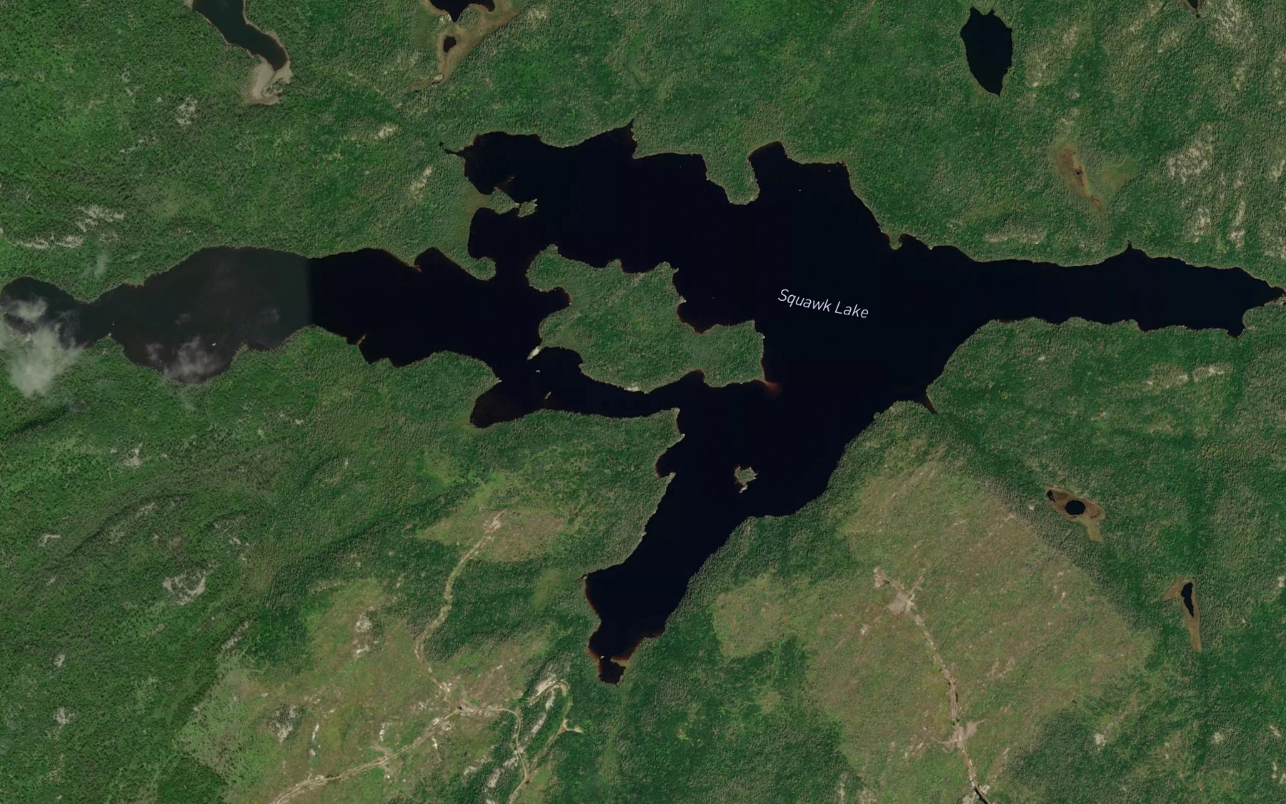 Satellite map of the Squawk Lake