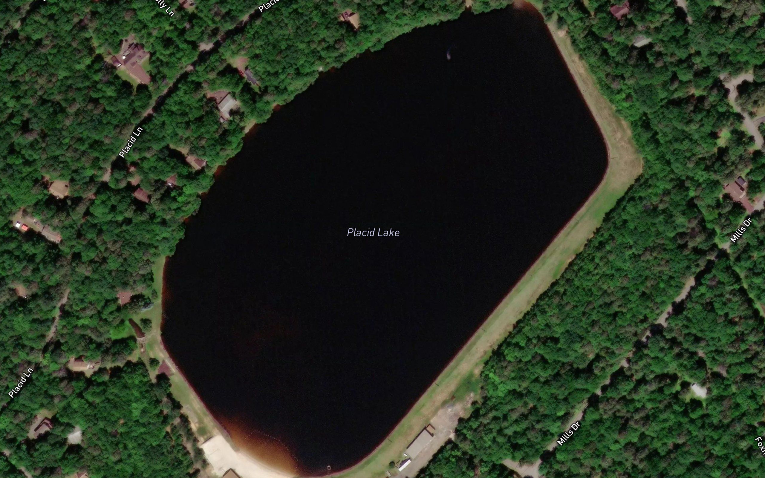 Placid Lake