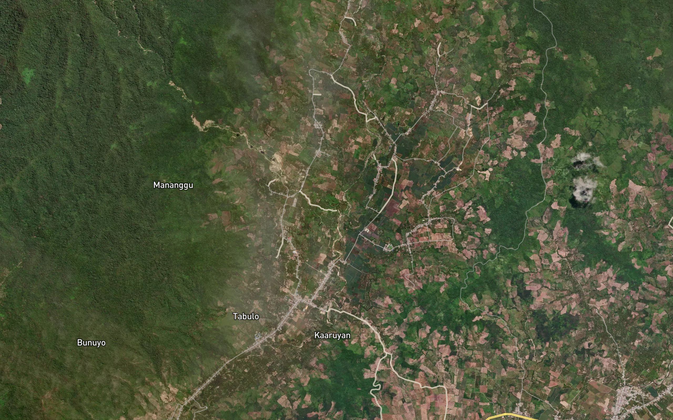 Dutula Nangka