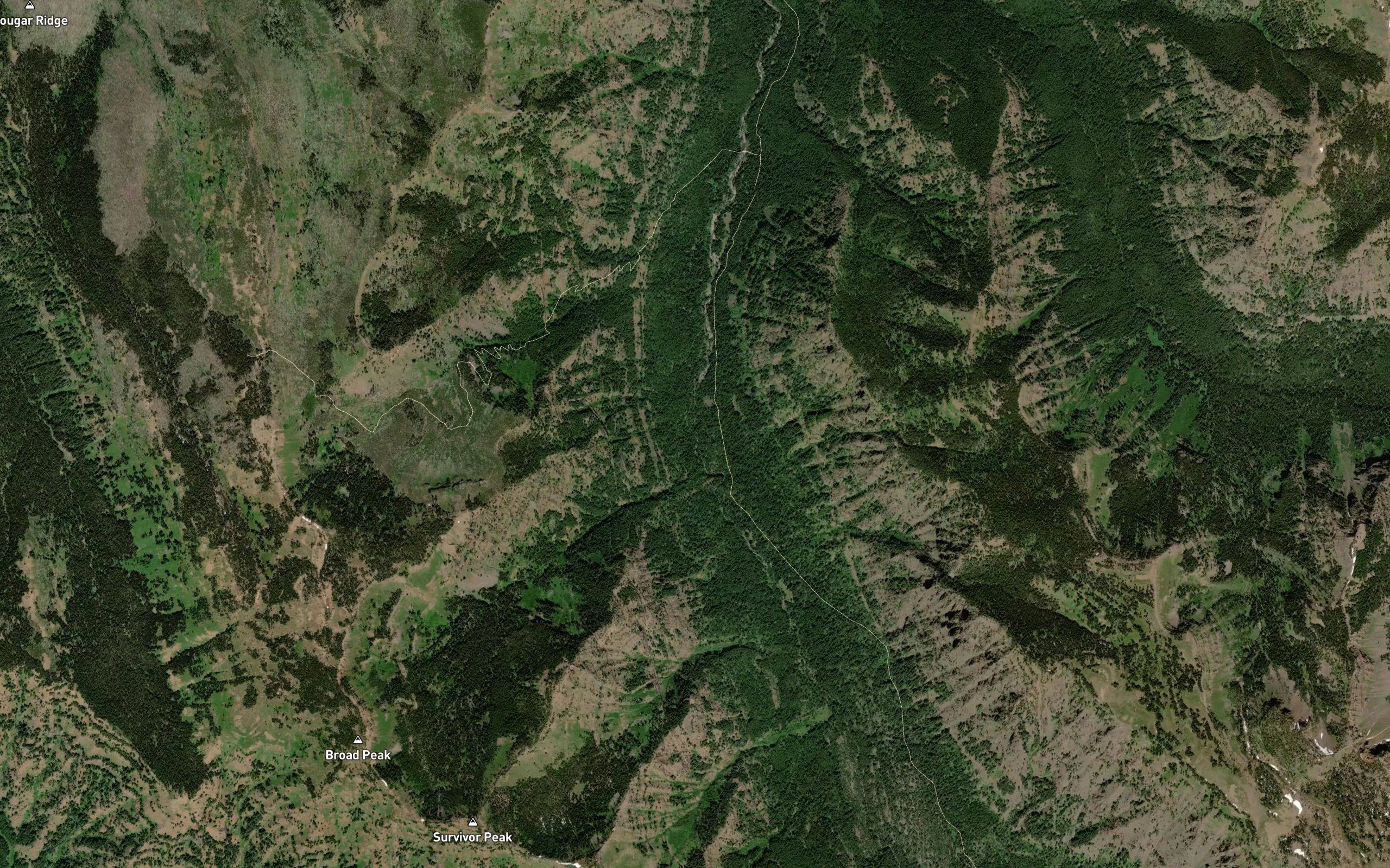 Lake Basin Creek
