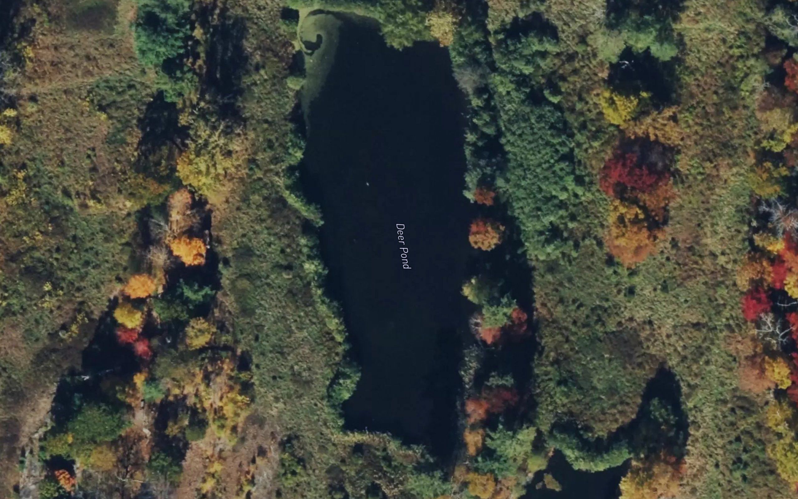 Deer Pond