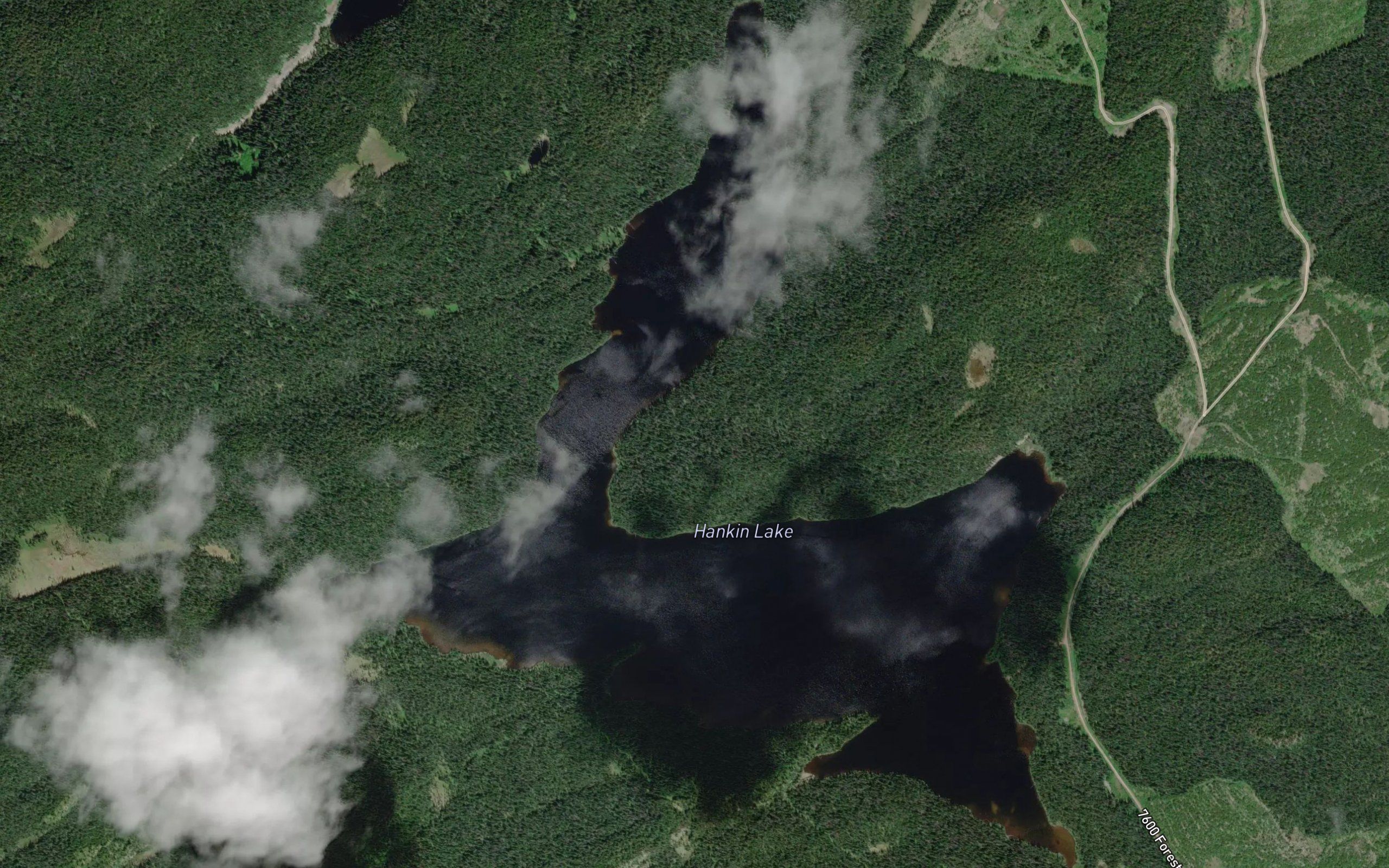 Hankin Lake