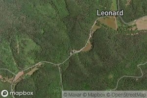 Camel Branch