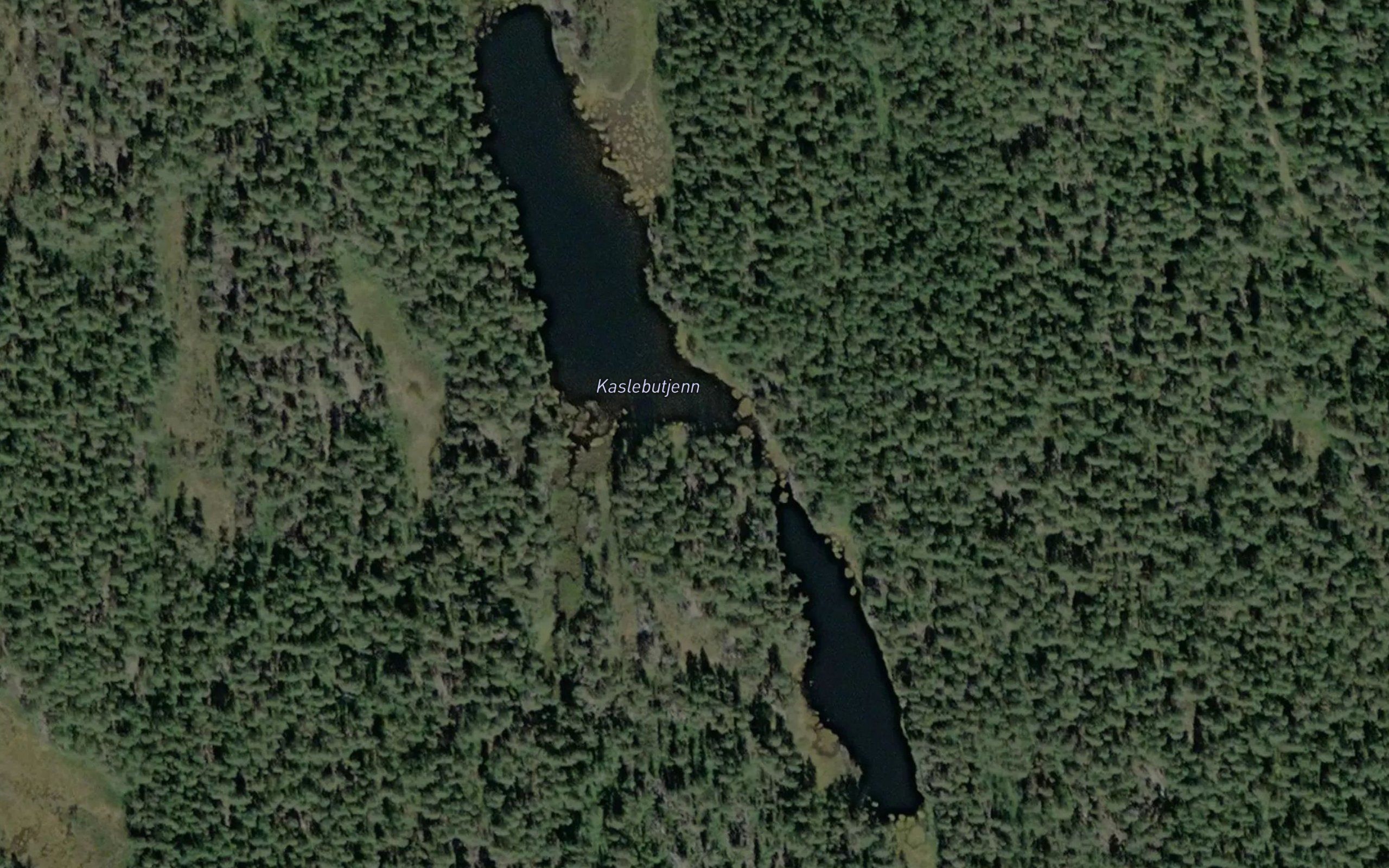 Kaslebutjern
