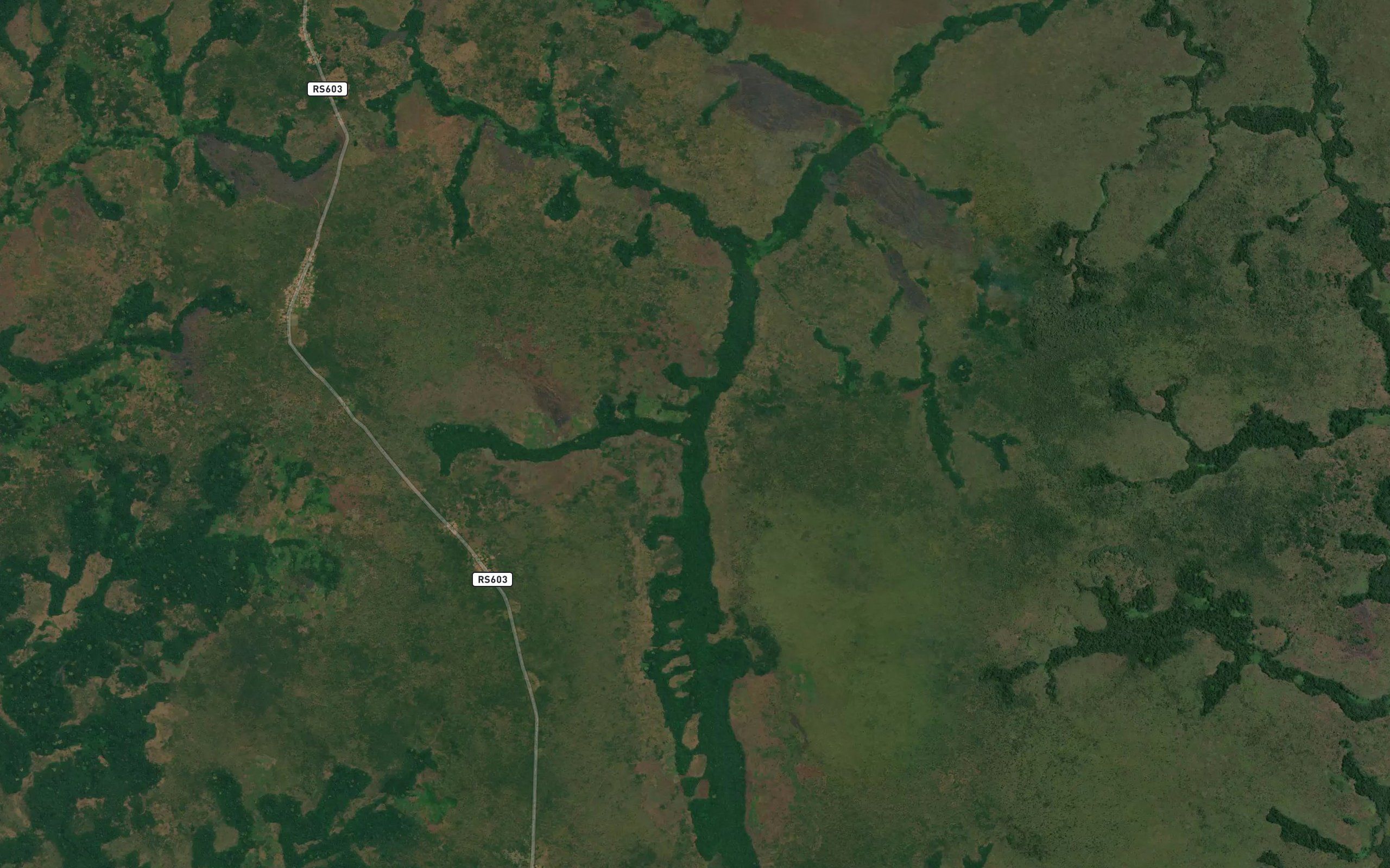 Kaunda