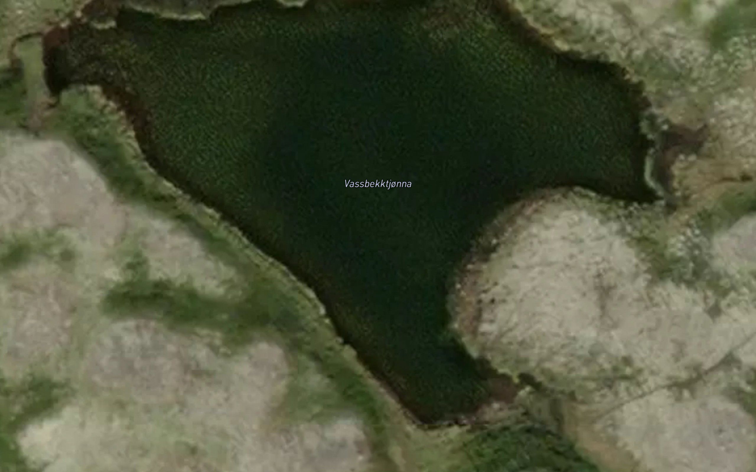 Vassbekktjonna