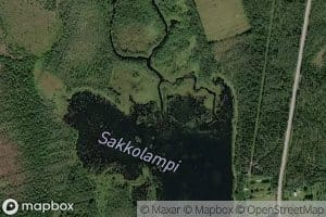 Salmijoki