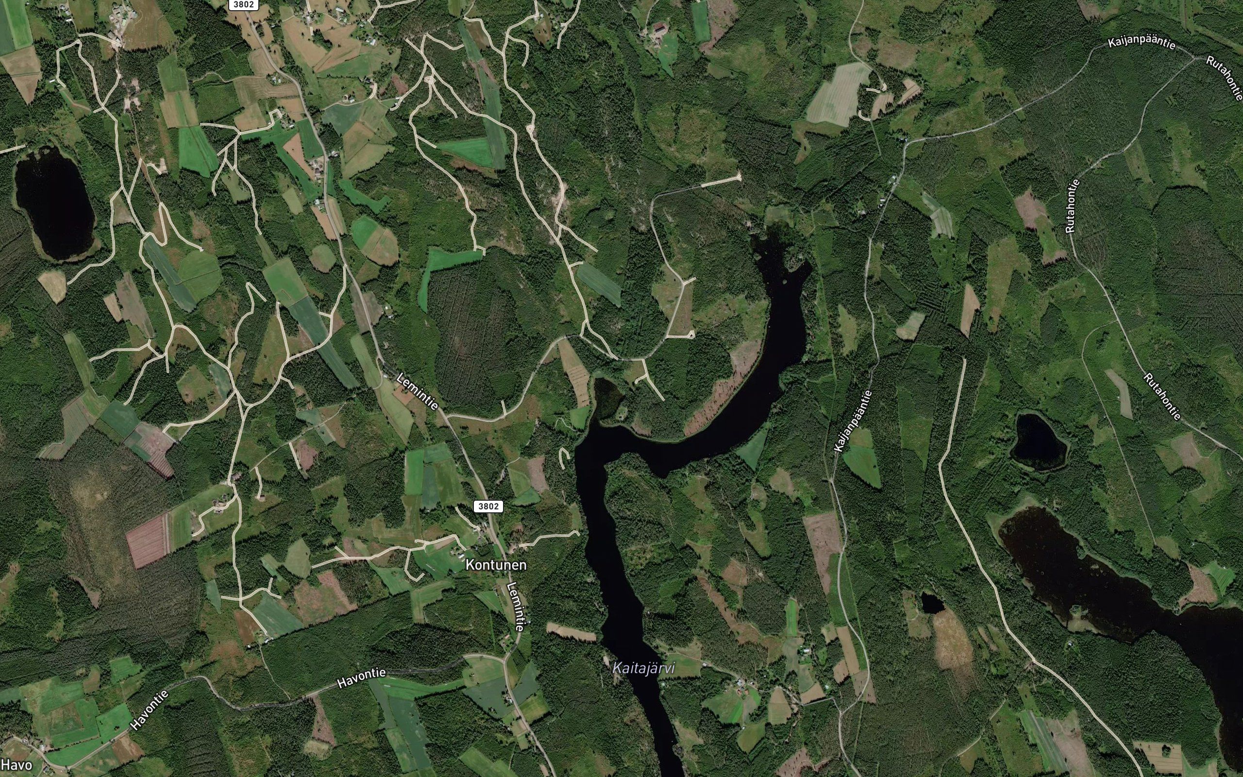 Martinoja