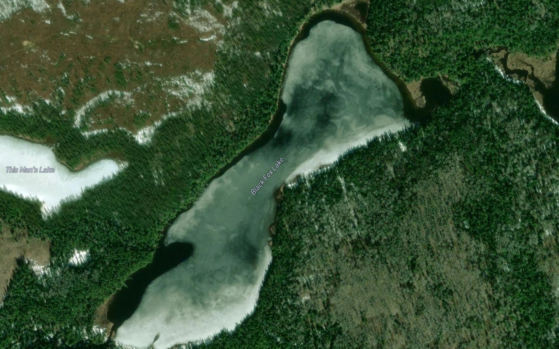 Satellite map of the Black Fox Lake