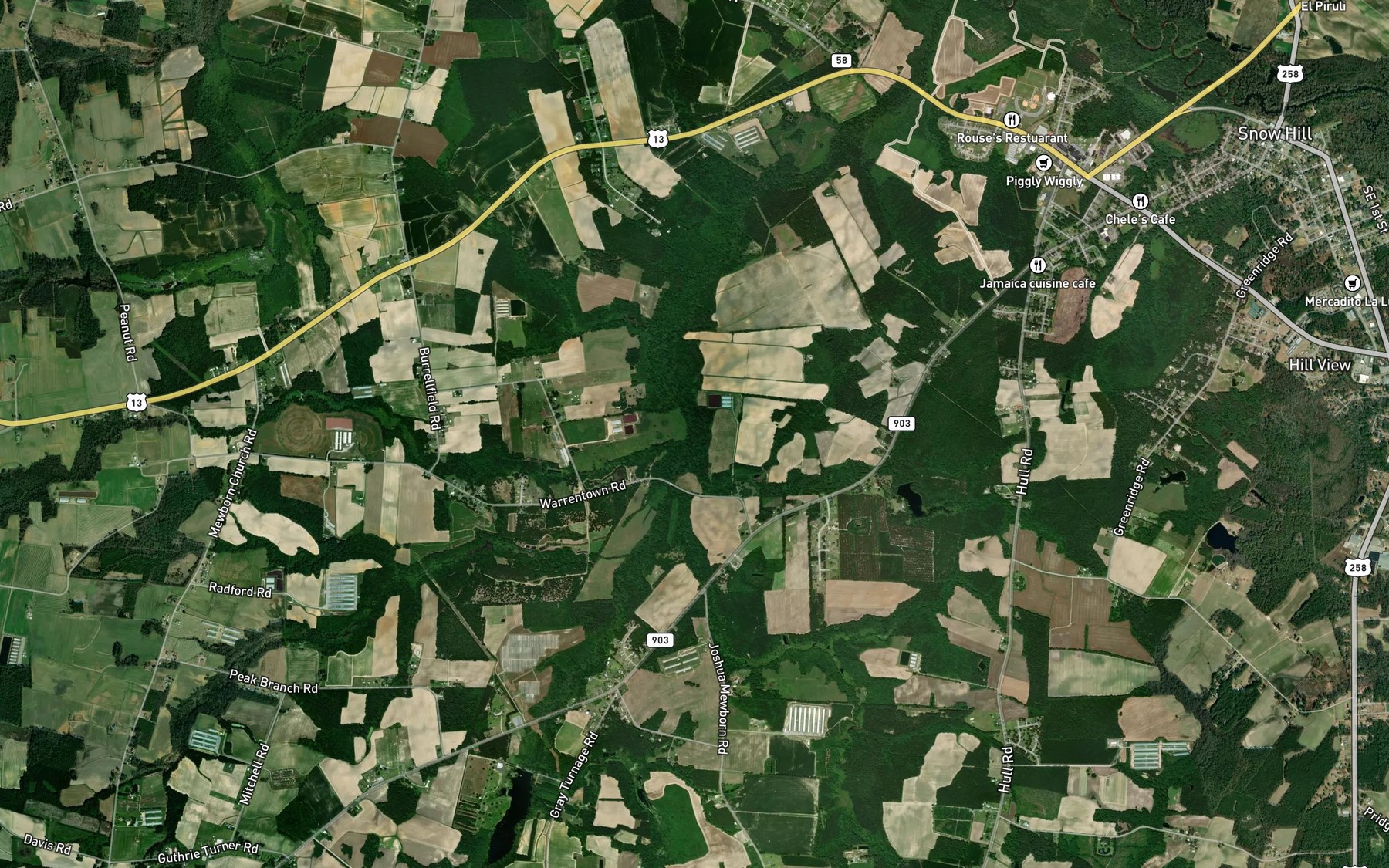 Satellite map of the Reedy Branch