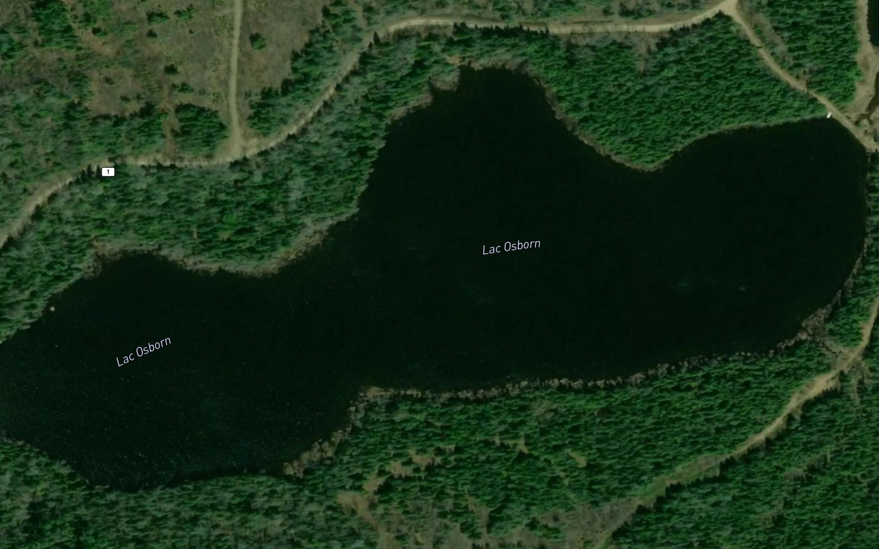 Satellite map of the Lac Osborn