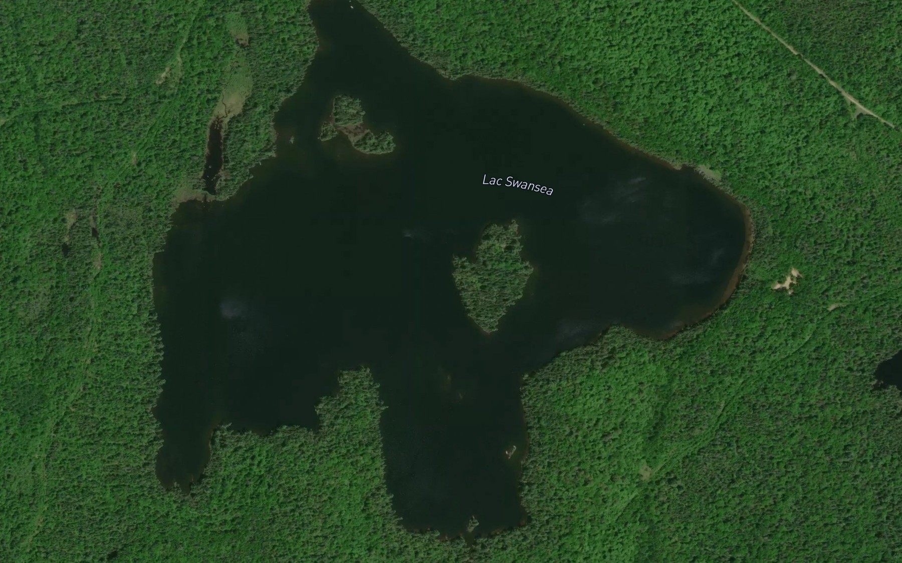 Satellite map of the Lac Swansea